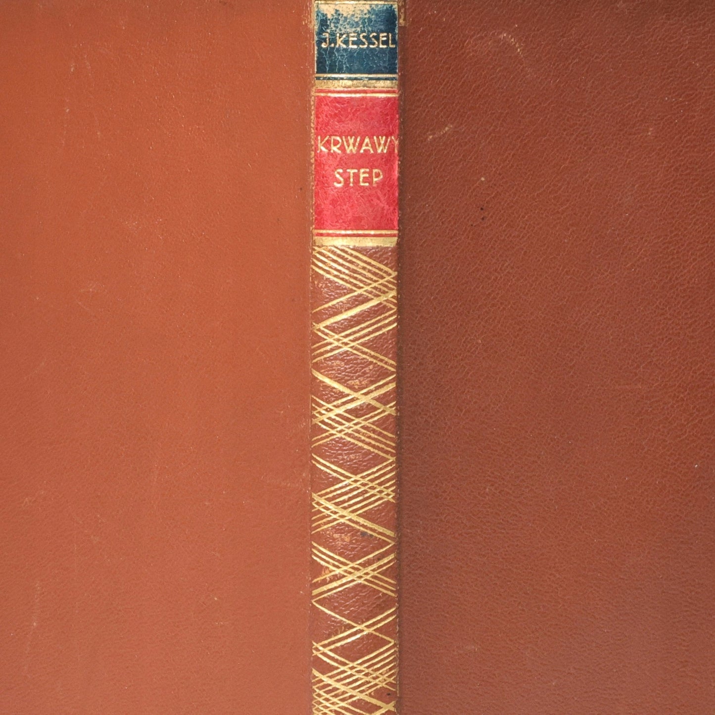 Krwawy step, Kessel Joseph [Warszawa 1928]