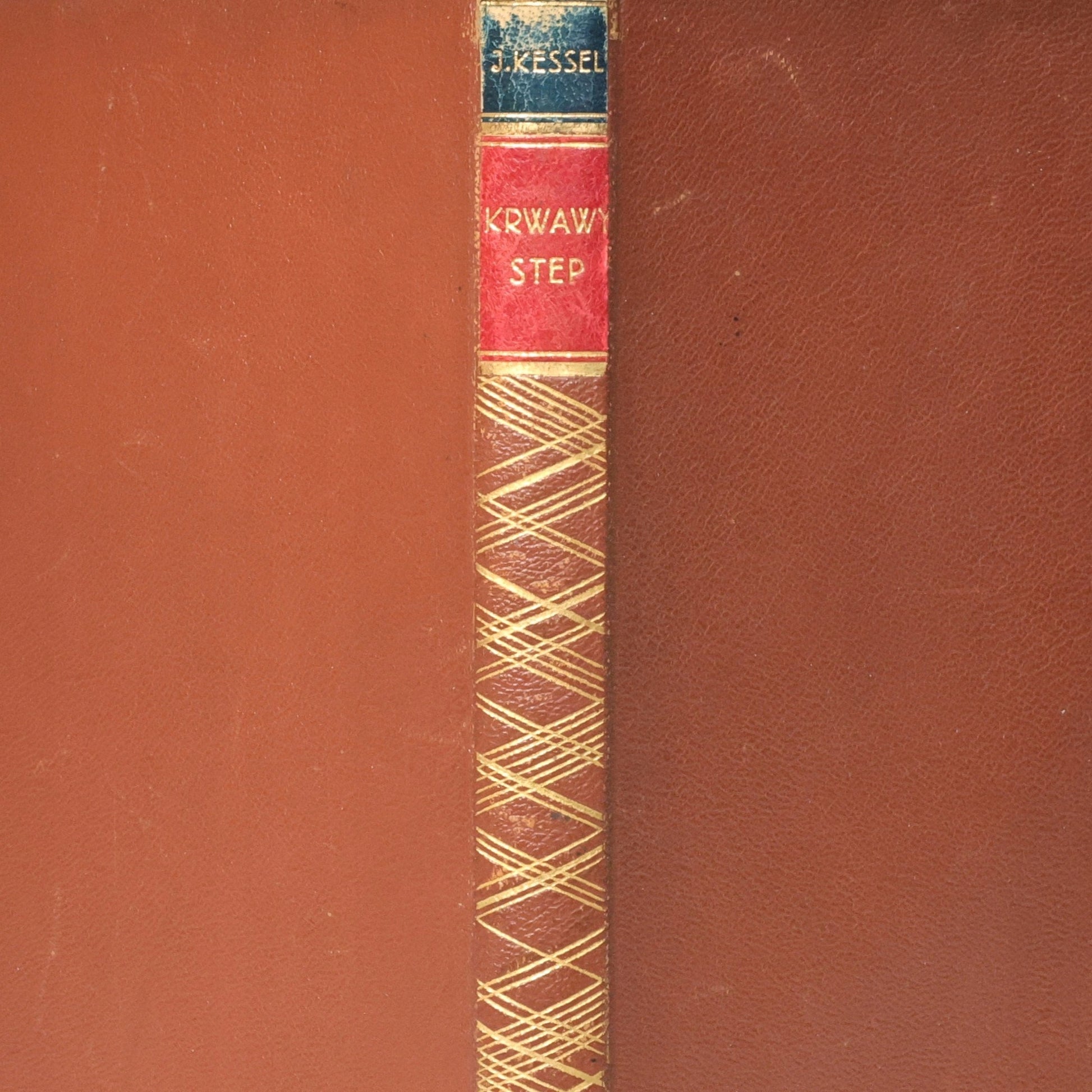 Krwawy step, Kessel Joseph [Warszawa 1928]