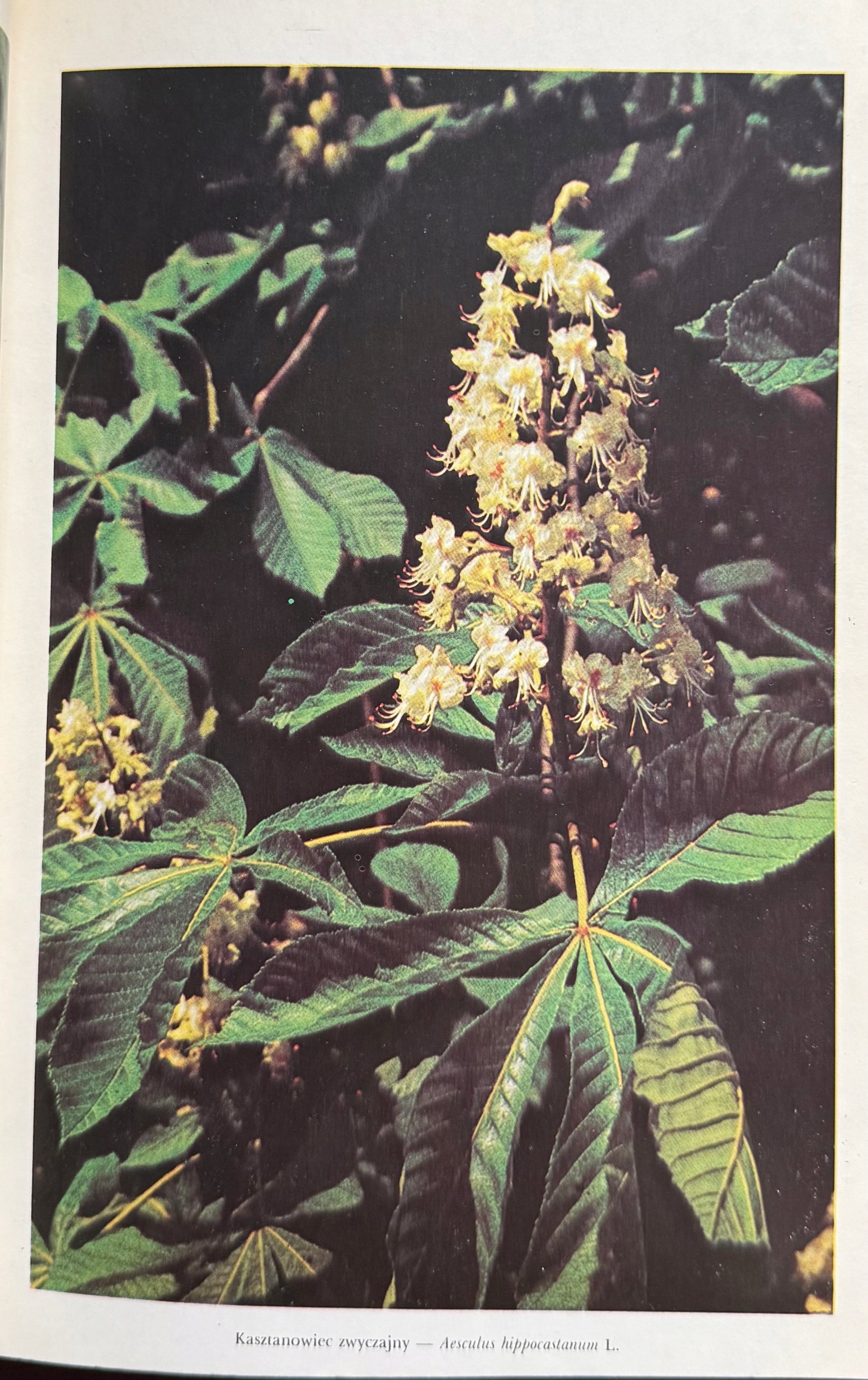 a9a1e7c44957735aec9df9d66d1566d6