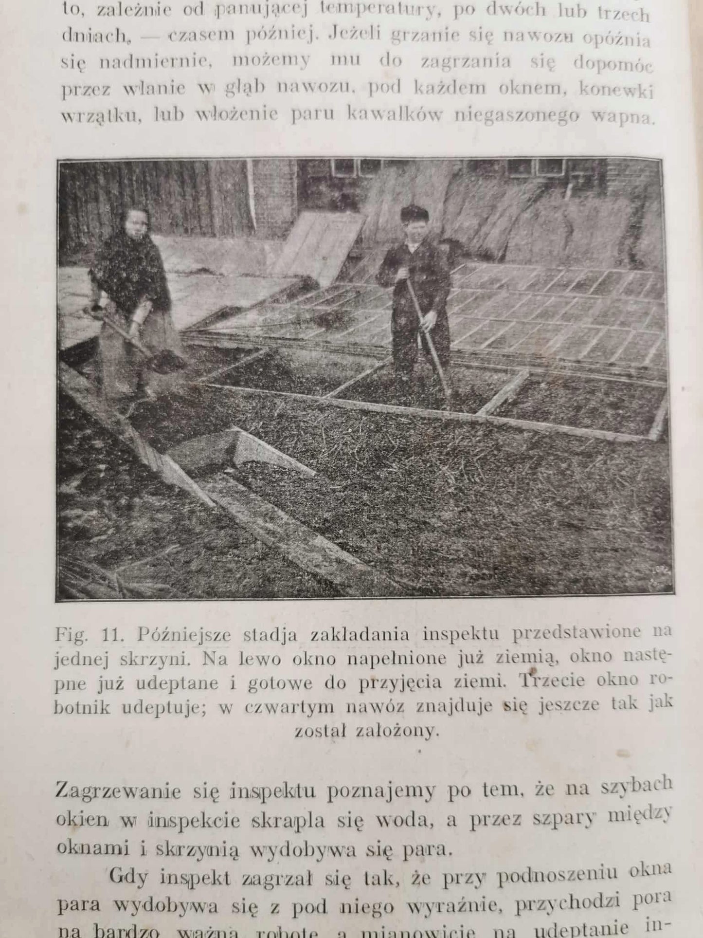 Hodowla warzyw, Józef Brzeziński [Kraków 1929]