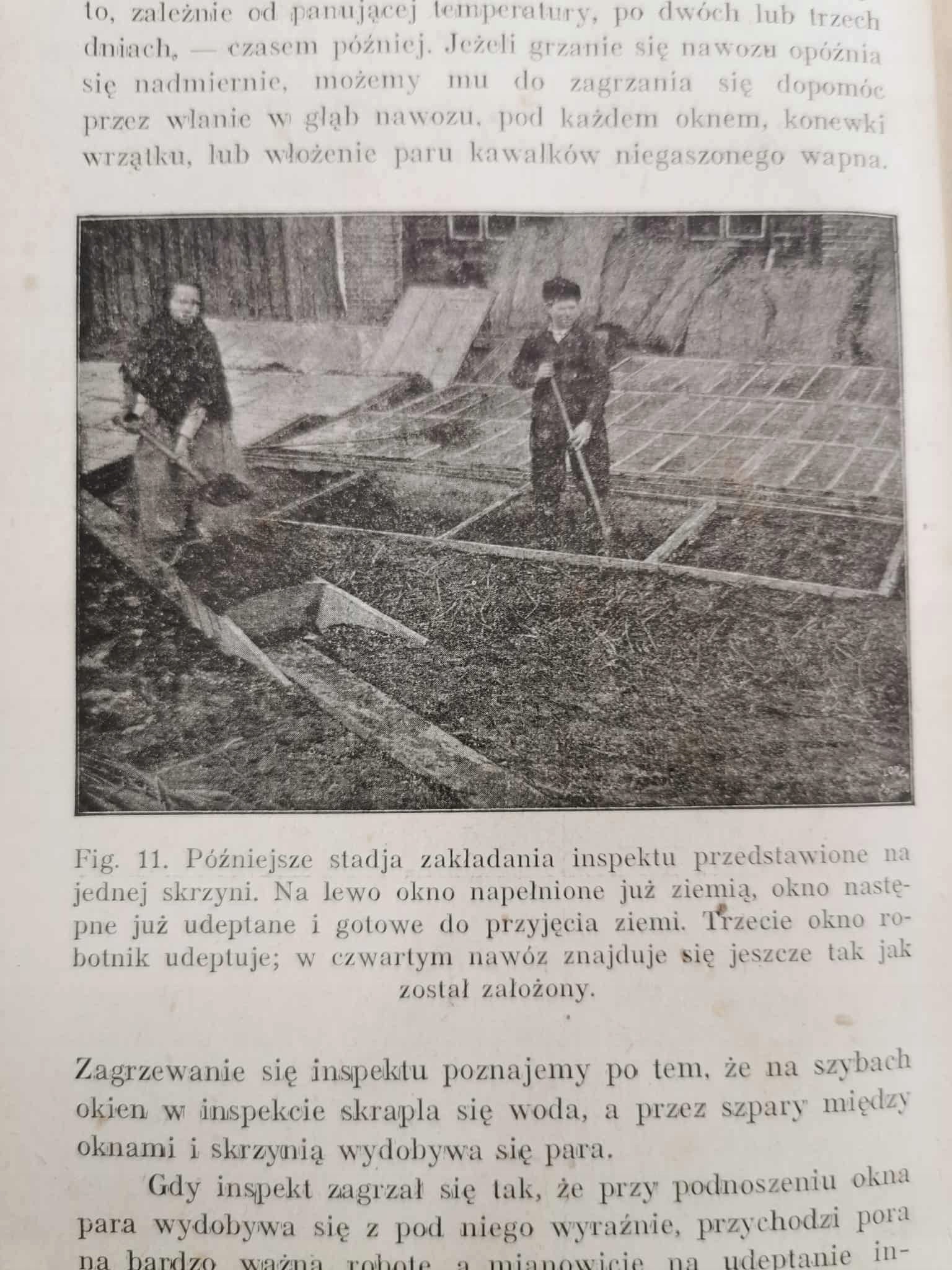 Hodowla warzyw, Józef Brzeziński [Kraków 1929]