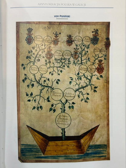 Arystokracja polska w Galicji. Studium heraldyczno-genealogiczne Górzyński