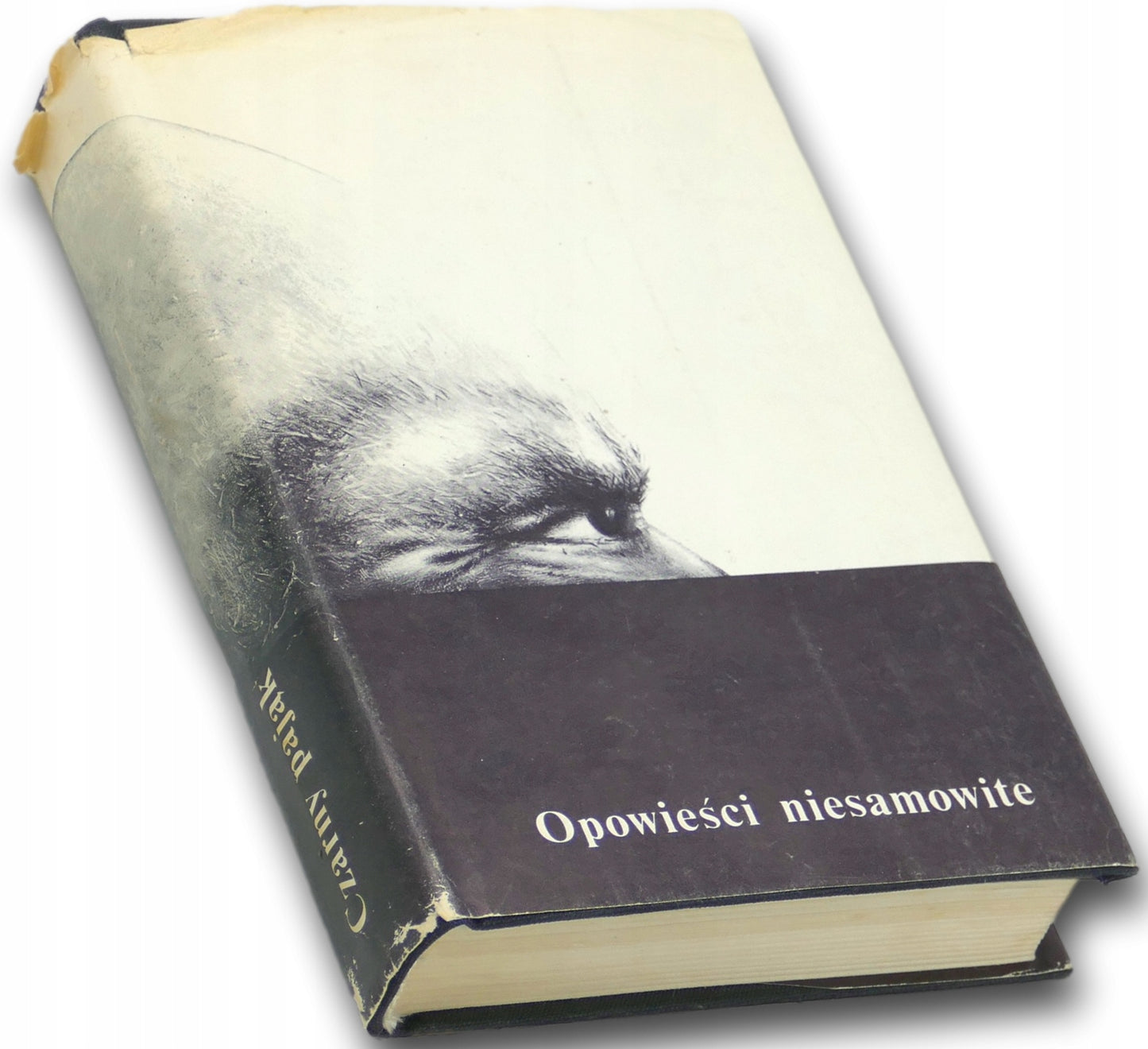 Czarny pająk. Opowieści niesamowite z literatury niemieckojęzycznej