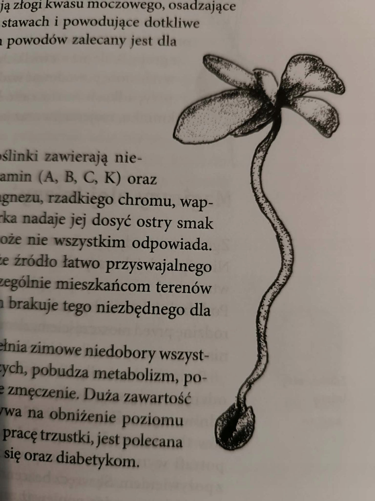 Na zdrowie Porady dr Górnickiej Jadwiga Górnicka, Sabina Zwolińka-Kańtoch