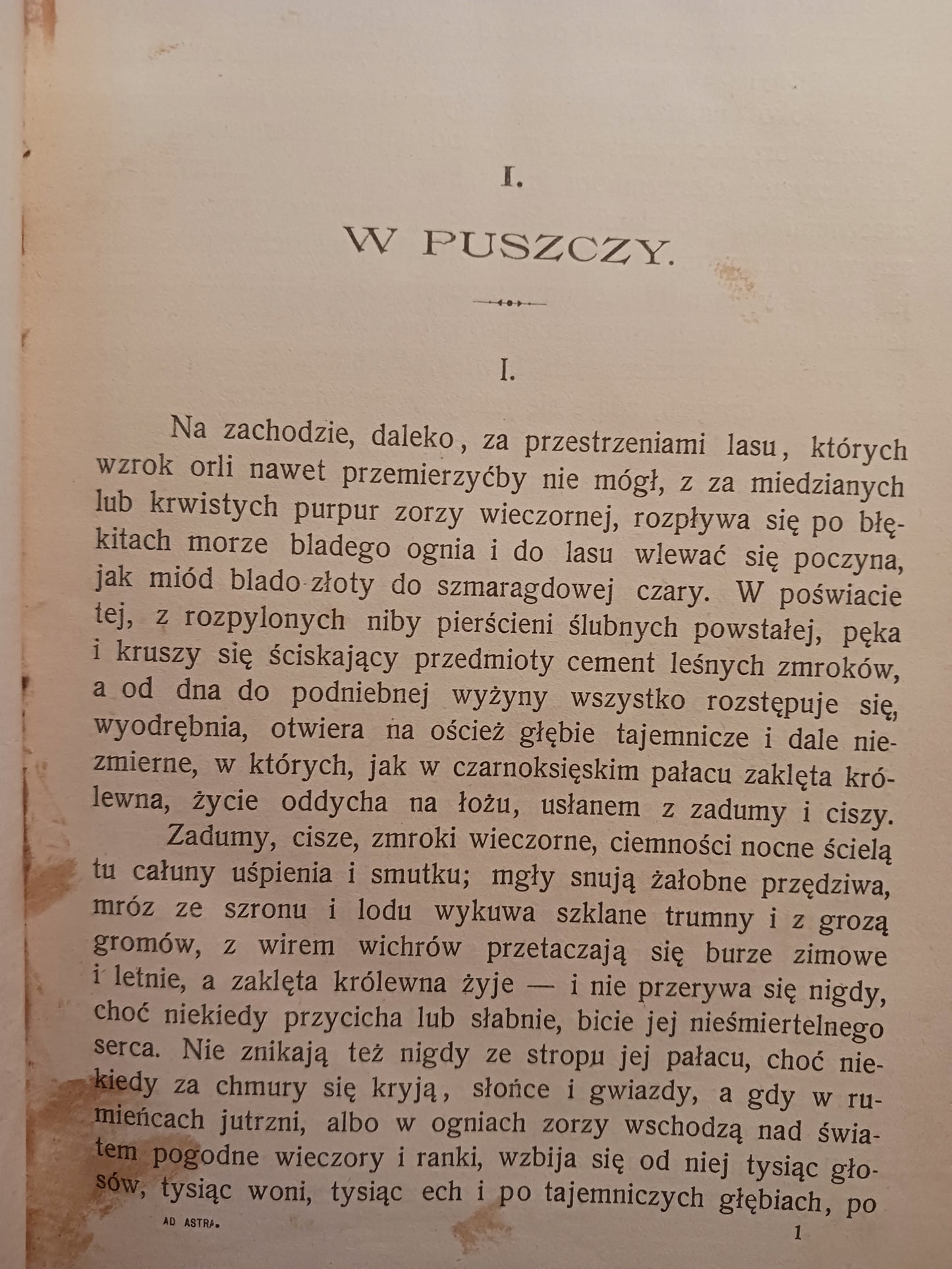Ad Astra dwugłos Eliza Orzeszkowa, Juliusz Romski [wydanie z roku 1904]