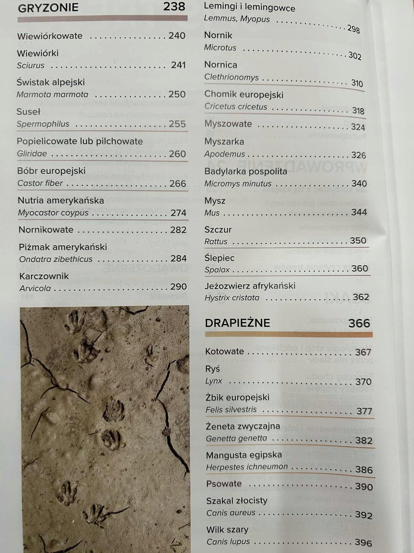 8ec1daeddfa225ff2014f711a20dd63a