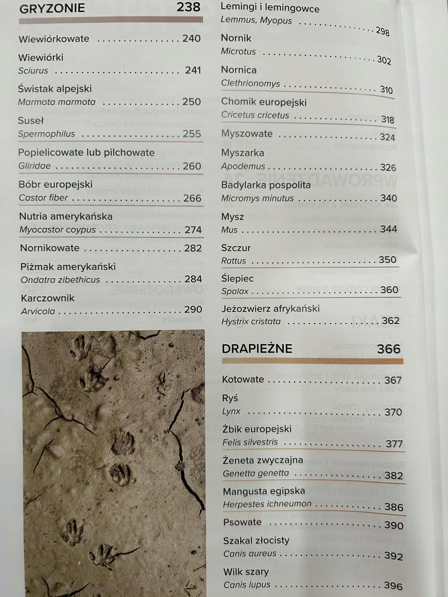 8ec1daeddfa225ff2014f711a20dd63a