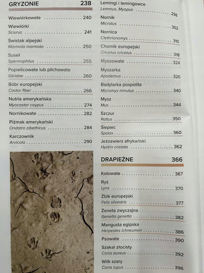 8ec1daeddfa225ff2014f711a20dd63a