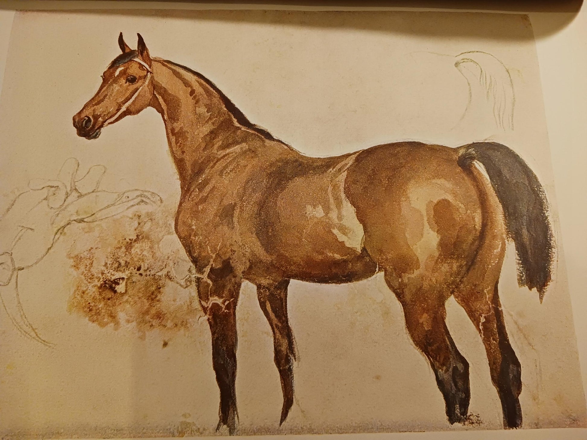 Juljusz Kossak przez Stanisława Witkiewicza [pierwsze wydanie 1900 rok]