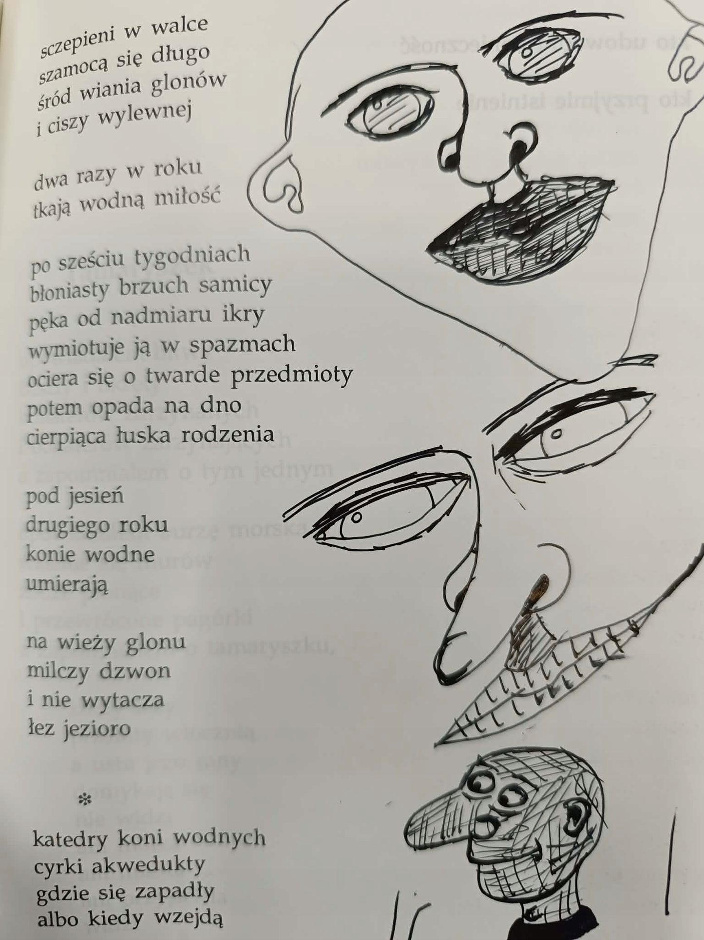 Studium przedmiotu, Zbigniew Herbert