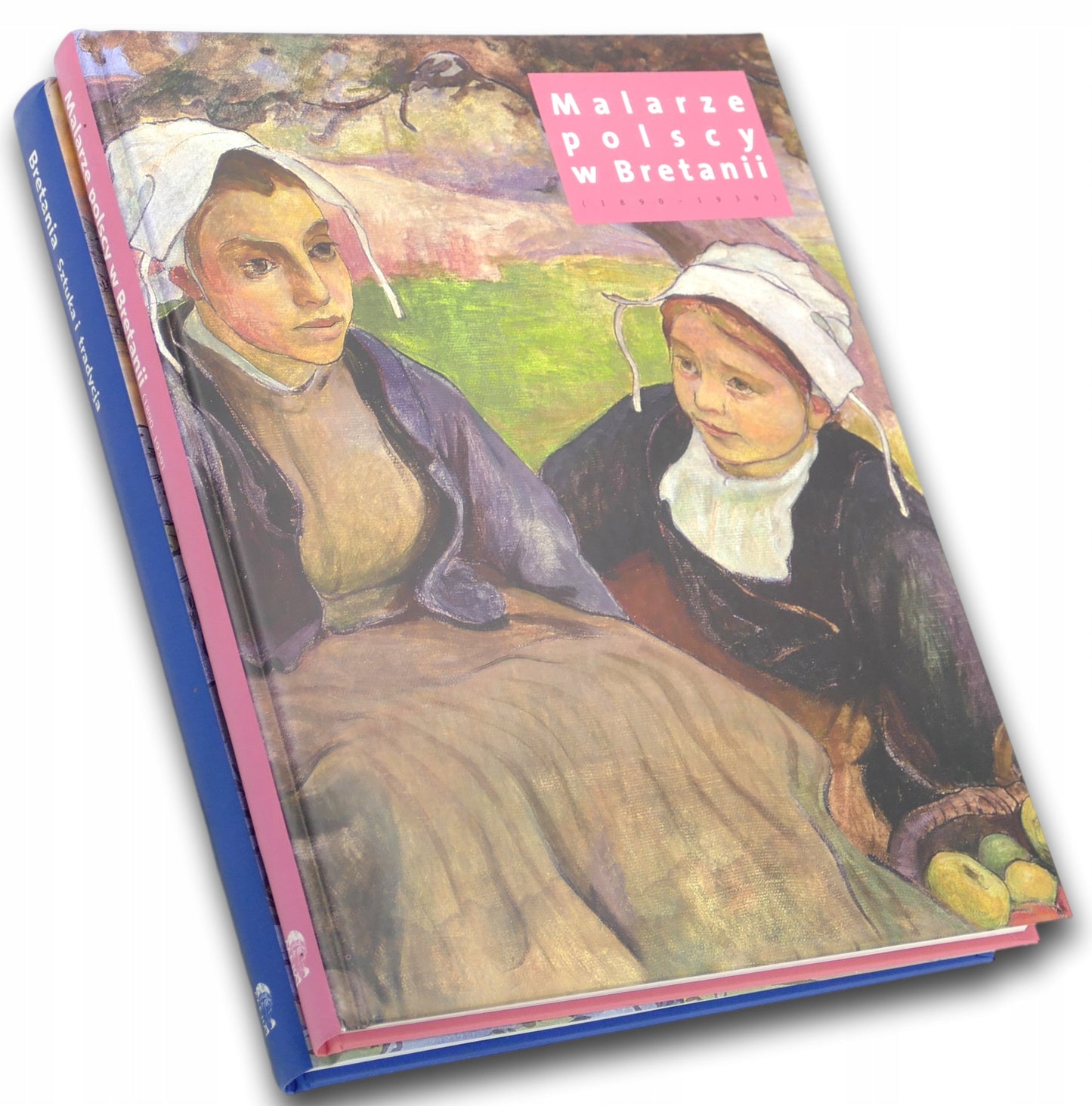 Malarze Polscy w Bretanii 1890-1939 Bretania Sztuka i tradycja P. zbiorowa
