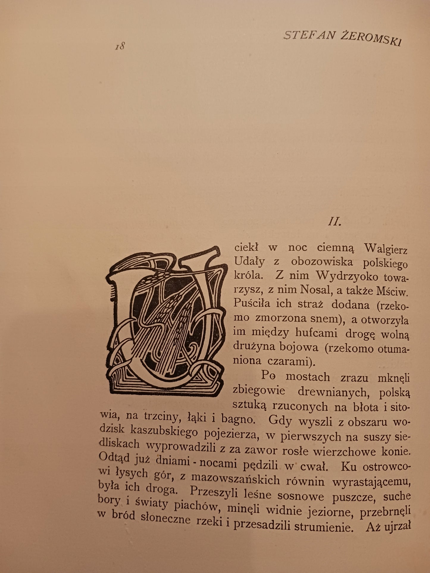 Powieść o udałym Walgierzu Stefan Żeromski [I wydanie; Warszawa rok 1906]
