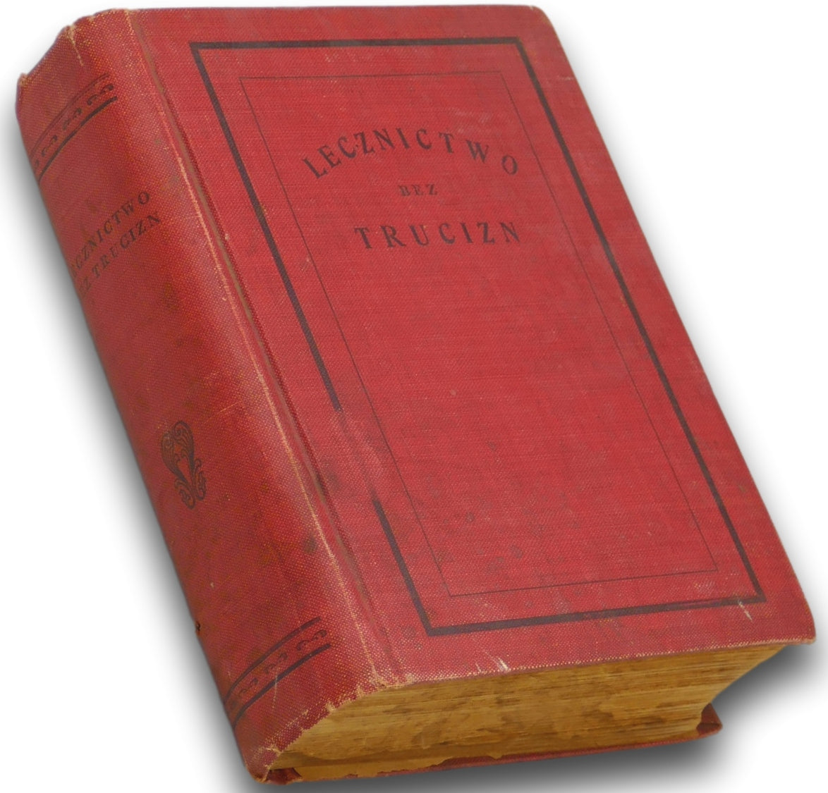 Lecznictwo bez trucizn [1912] Anna Fischer-Dückelmann