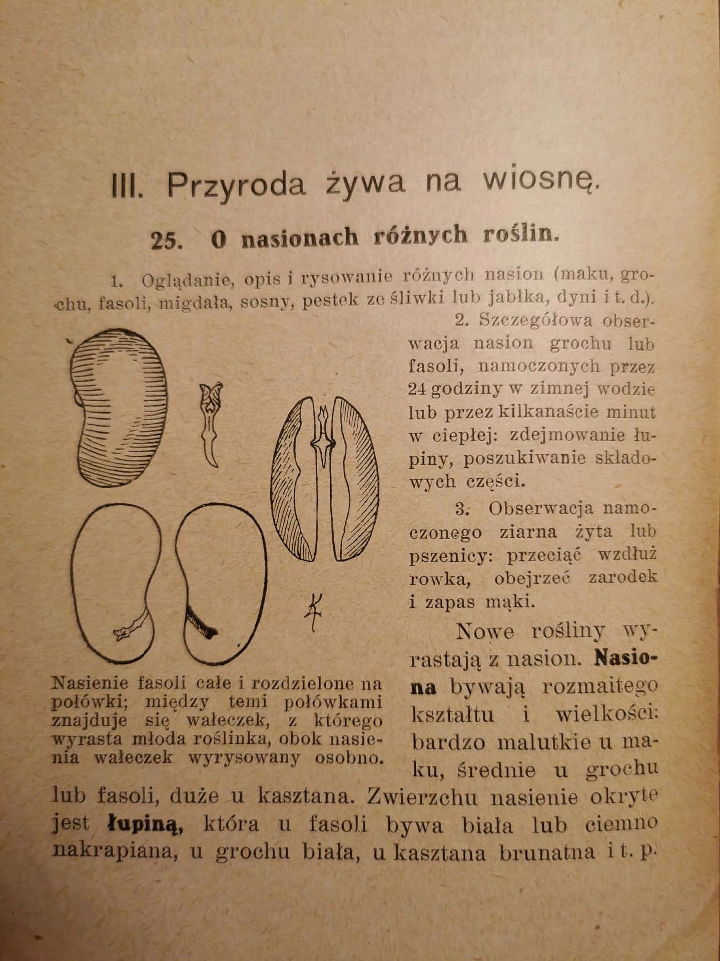 Początkowa nauka o przyrodzie, B. Dyakowski [1928]