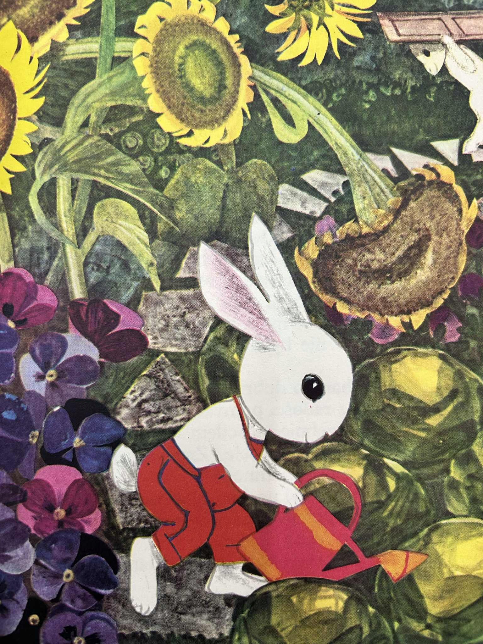 91439f7b3d51cfca137f066aa209734c