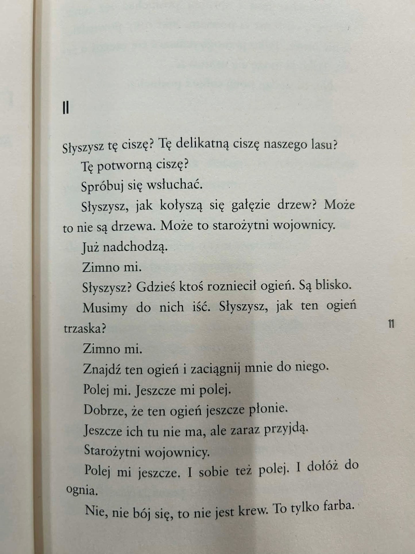 Aleja narodowa - Jaroslav Rudiš