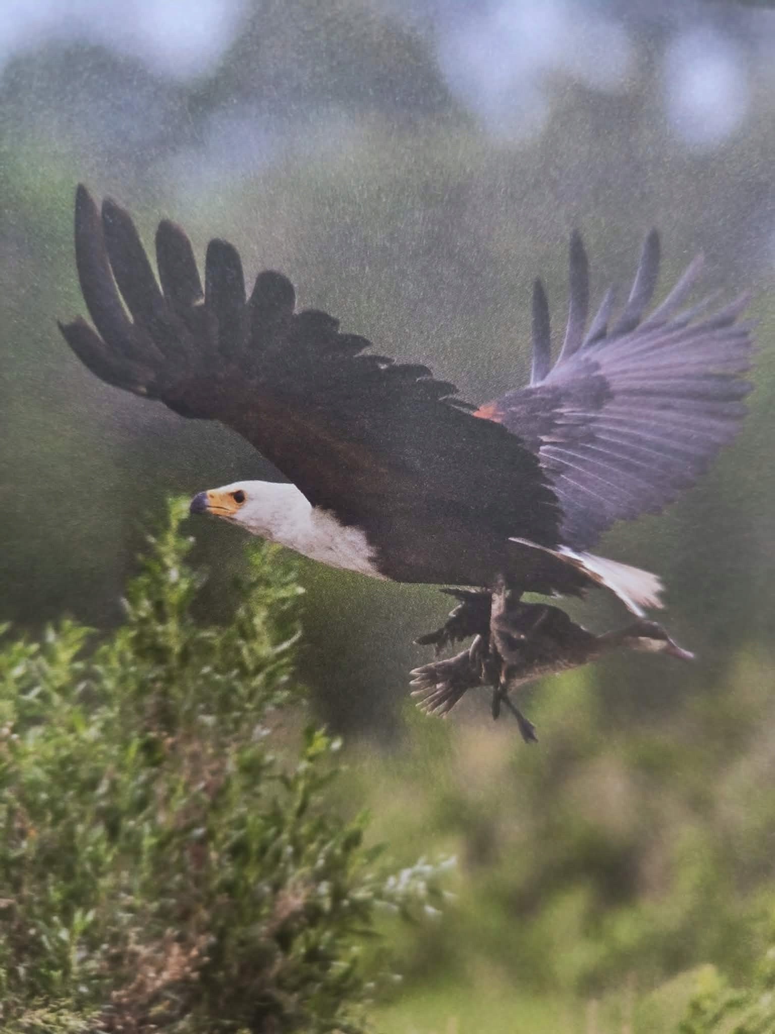 Sztuka fotografowania przyrody, Paweł Fabijański
