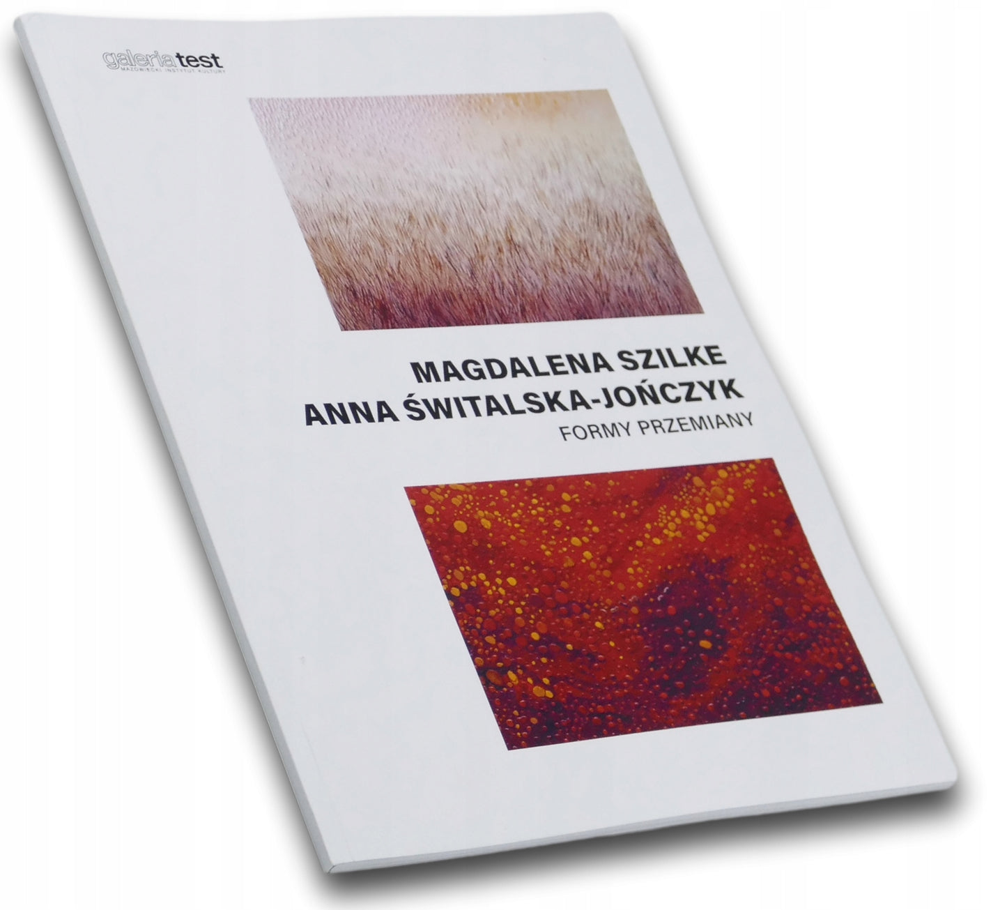 Magdalena Szilke, Anna Świtalska - Jończyk, Formy przemiany, Galeria Test