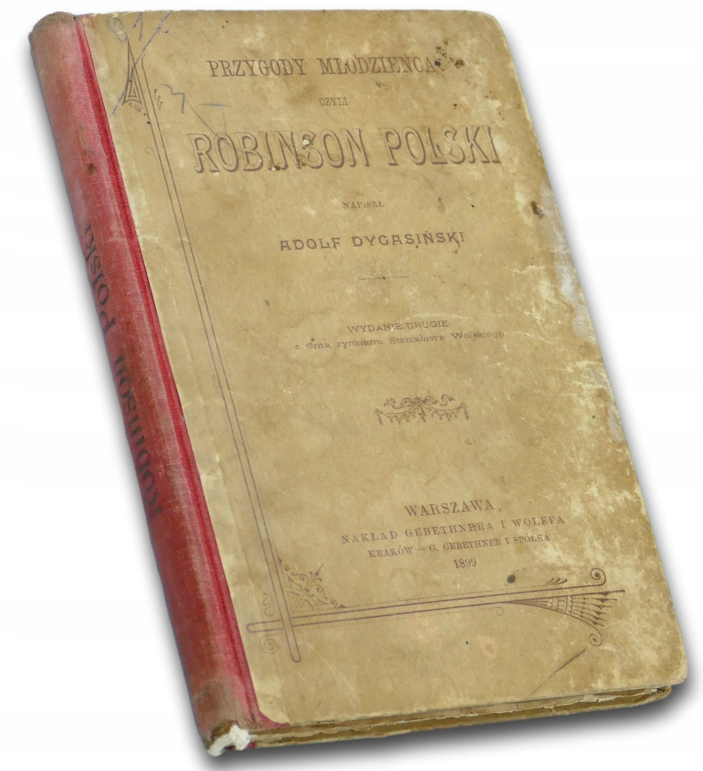 Przygody młodzieńca czyli Robinson polski - Adolf Dygasiński [1899 r.]