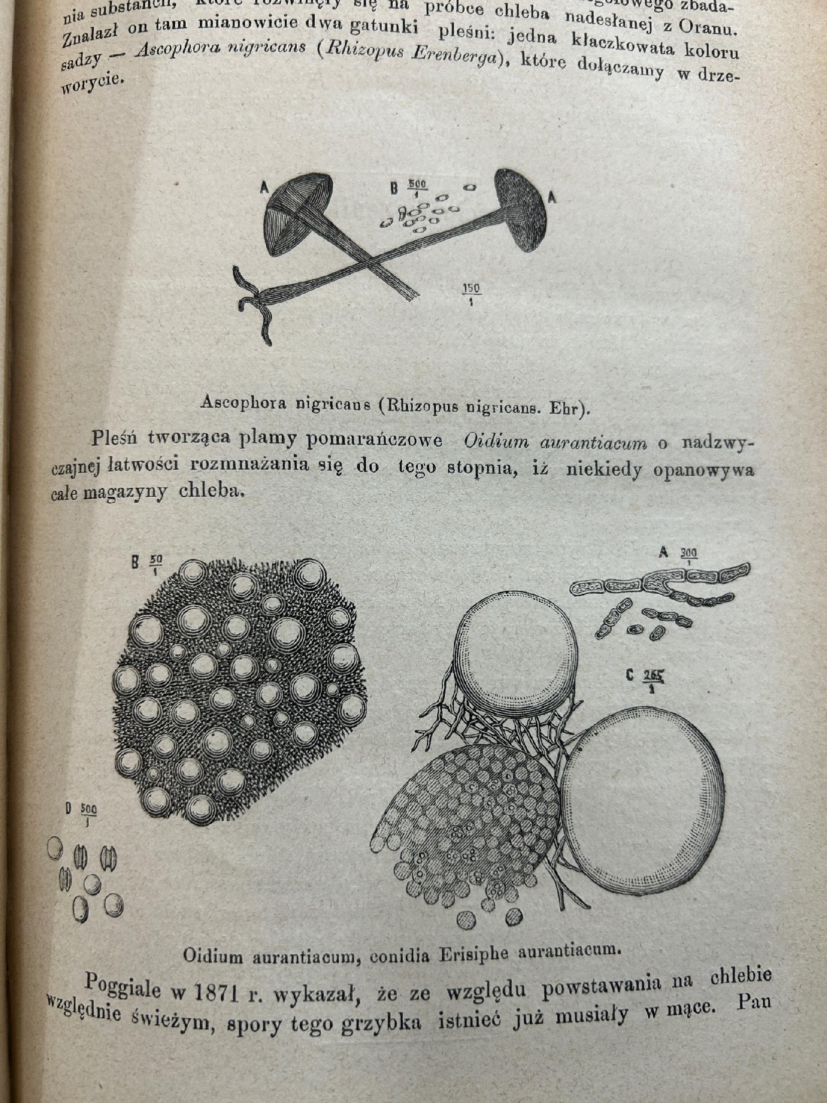 Wiadomości farmaceutyczne Tom IX - pod redakcją Jana Mrozowskiego [1882 r.]