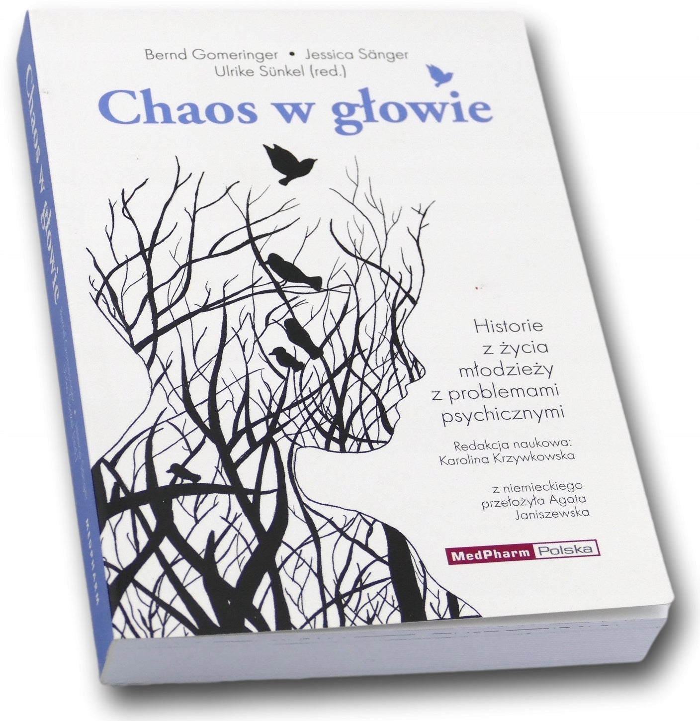 Chaos w głowie. Historie z życia młodzieży z problemami psychicznymi