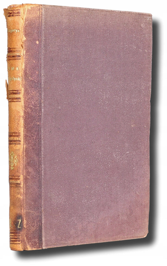 Dwa pojedynki: powieść, Bogorya Jarosław [Kraków 1880]