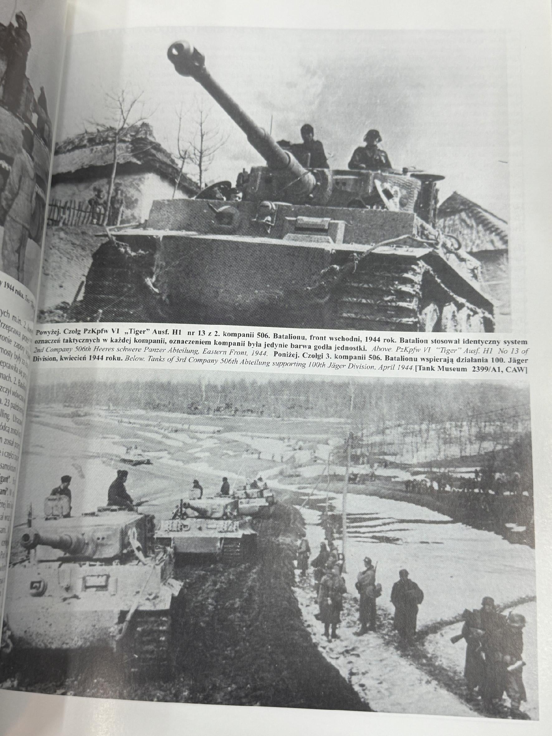 Tiger vol 1 Nr 74 Praca zbiorowa