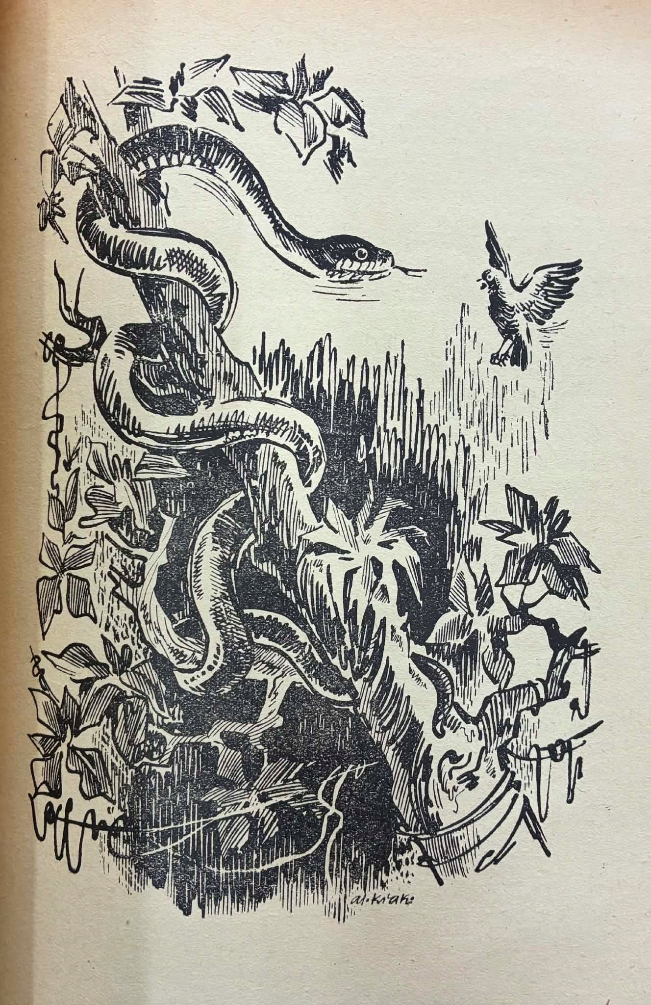 Arkady Fiedler Rio De Oro na ścieżkach Indian brazylijskich [1950]