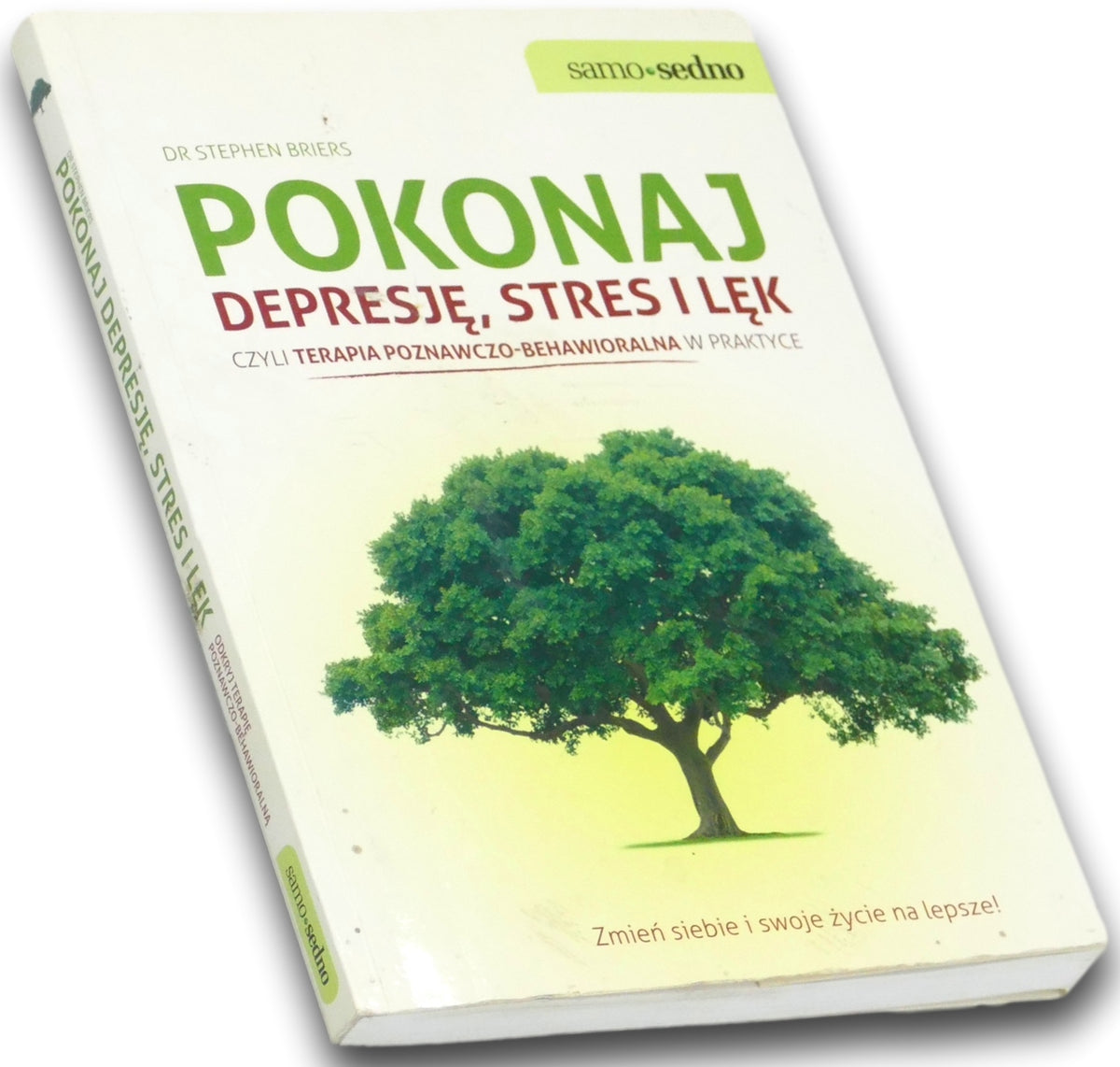 Pokonaj depresję stres i lęk Stephen Briers