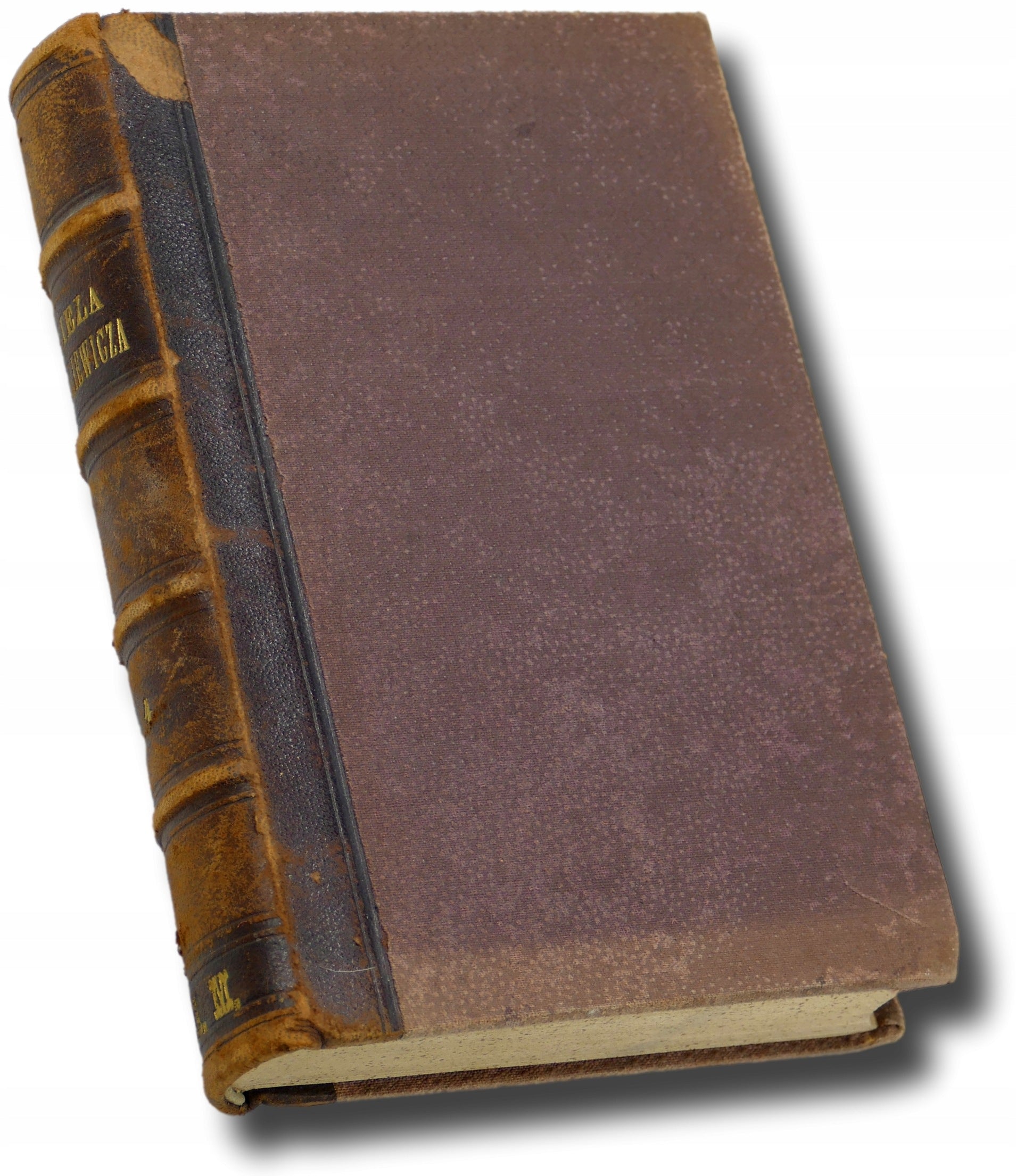 Korespondencja Adama Mickiewicza t. IV [1885]