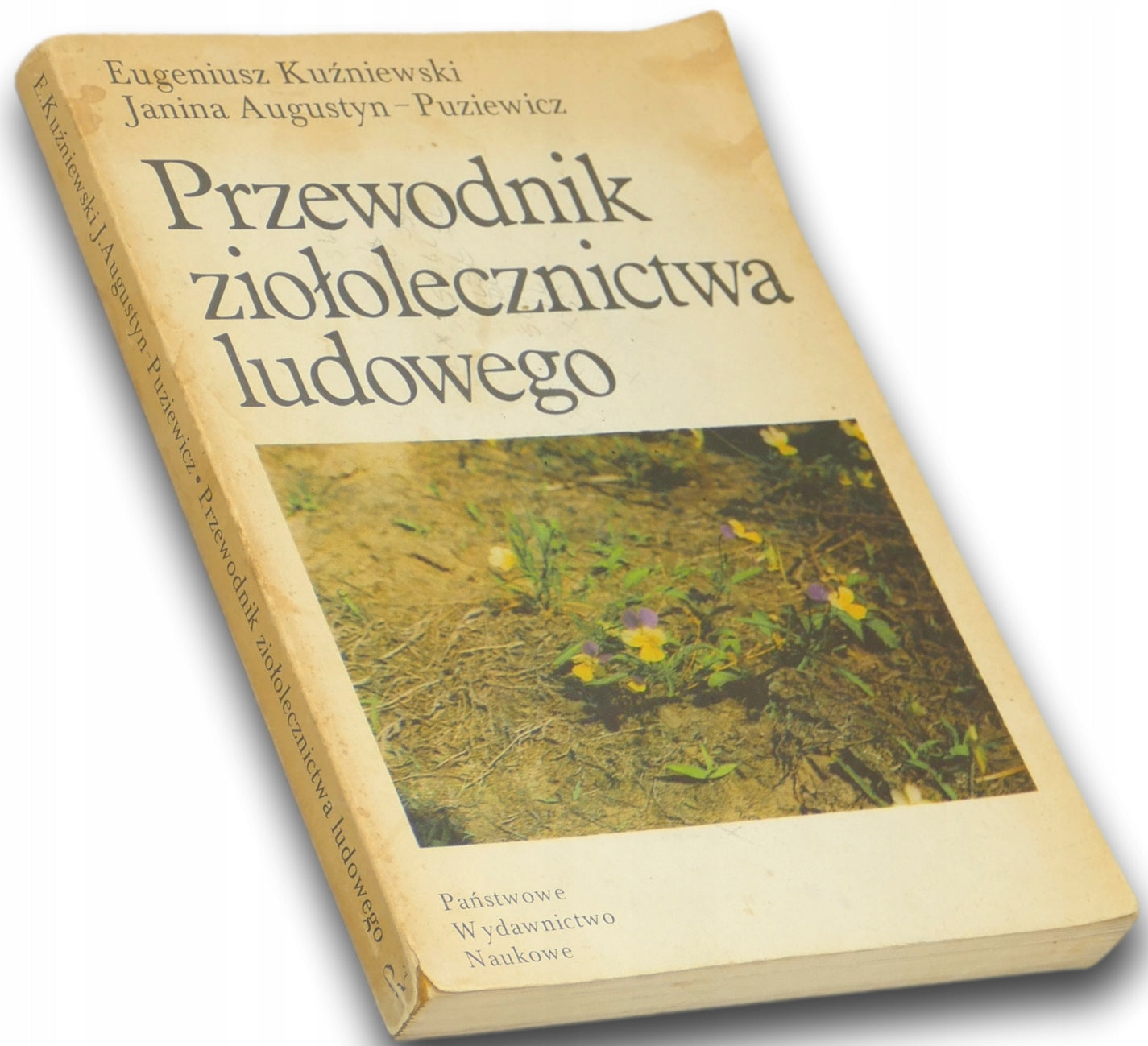 424d39c975649a8dd2892e7d390e2ebc