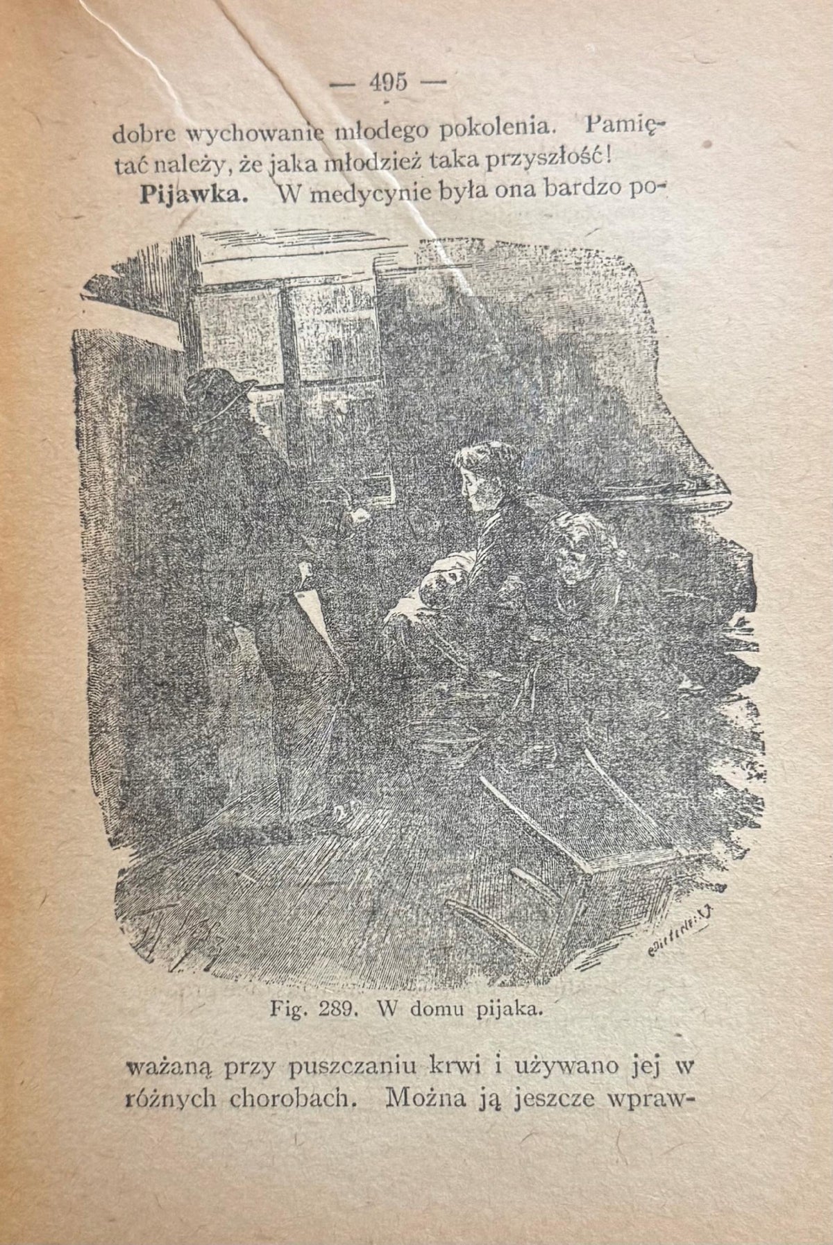 Lecznictwo bez trucizn [1912] Anna Fischer-Dückelmann