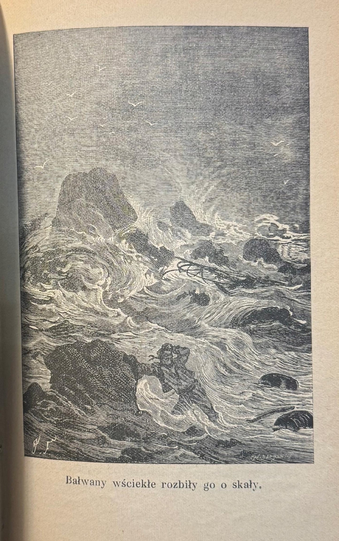 Czarne Indye Powieść Juliusz Verne Pisma V [wydanie ilustrowane][1909]