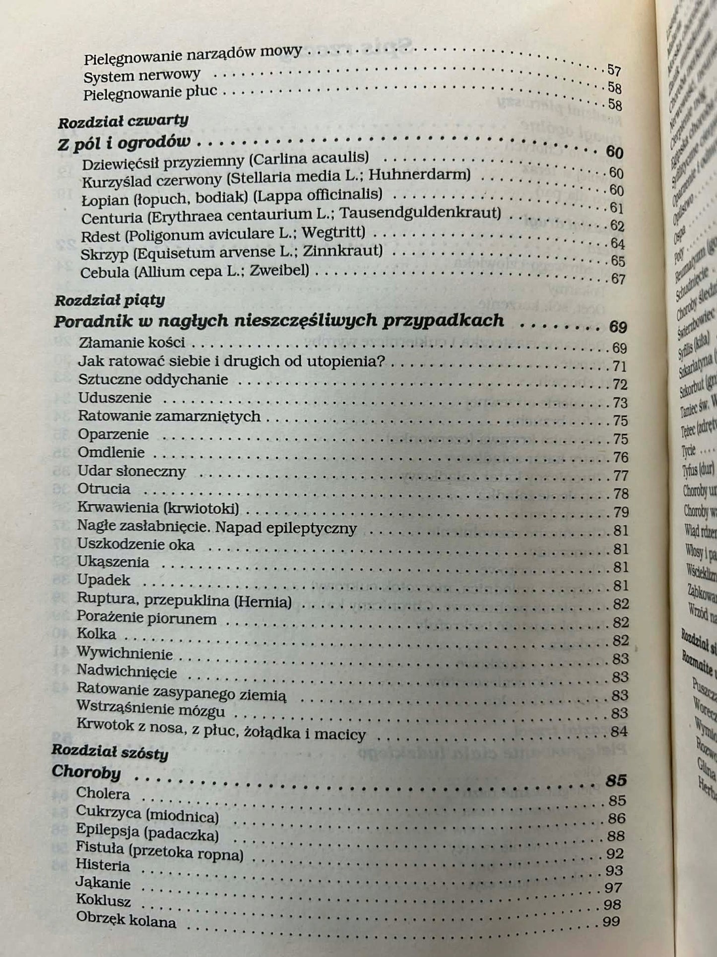 Kodycyl do mojego testamentu dla zdrowych i chorych - Sebastian Kneipp
