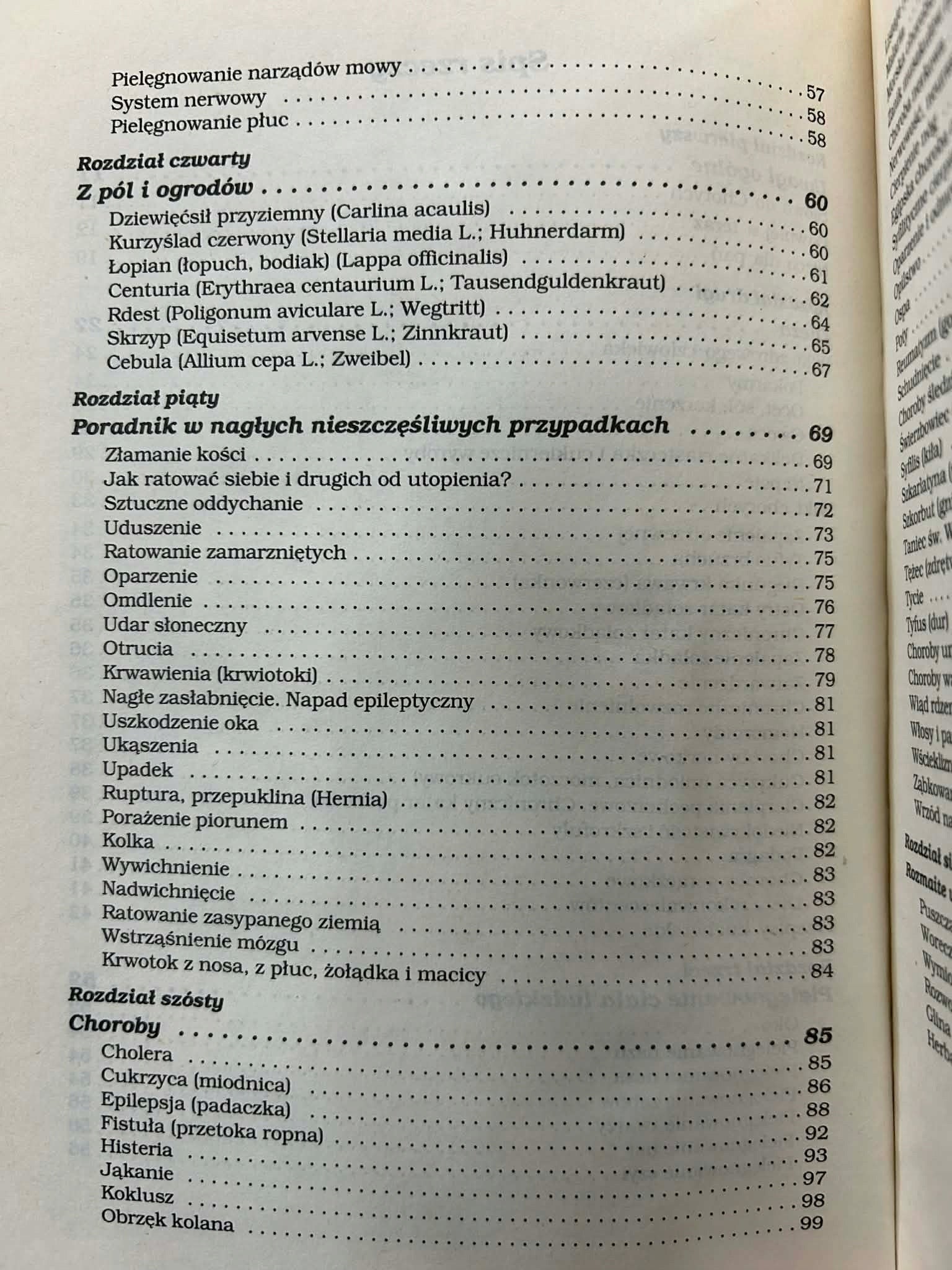 Kodycyl do mojego testamentu dla zdrowych i chorych - Sebastian Kneipp