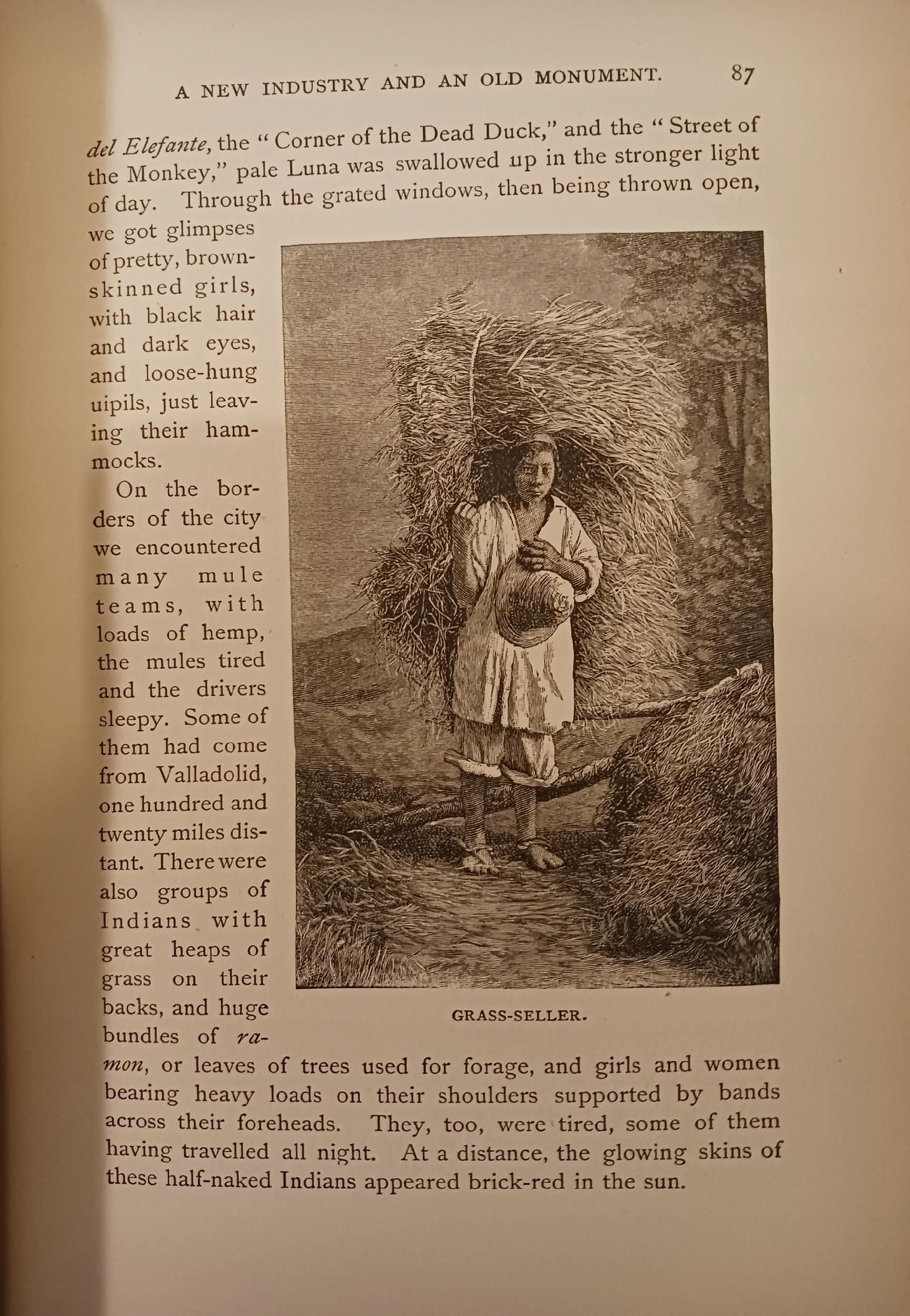 Travels in Mexico and Life Among The Mexicans Frederick A. Ober 1884