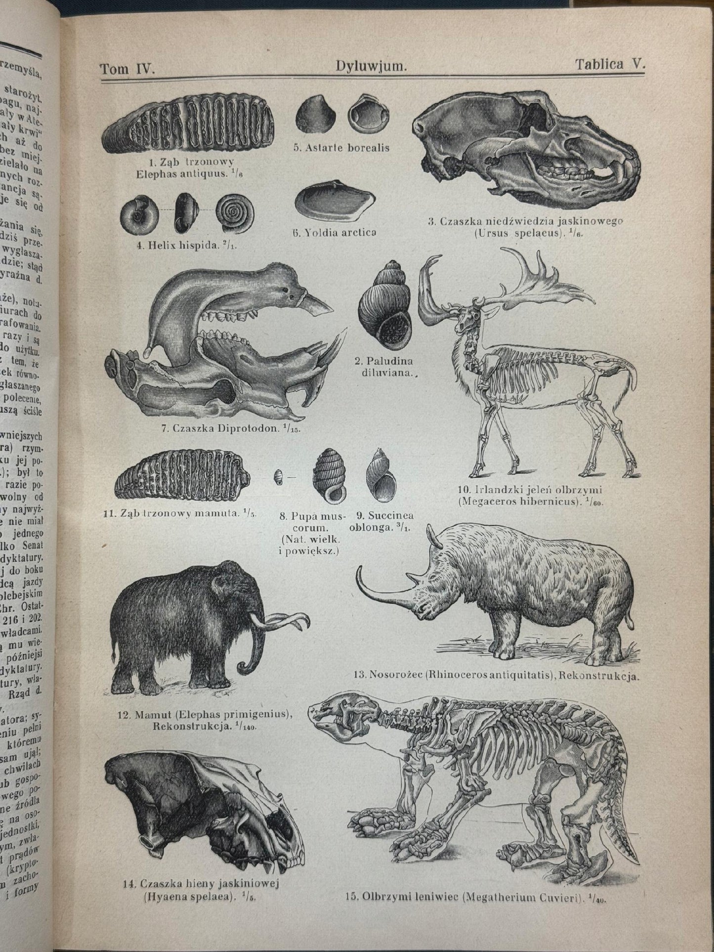 Encyklopedia Powszechna Wydawnictwa Gutenberga Tomy 1-20
