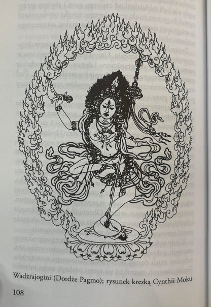 bbdba32af798e65d7f982b1d60171cf2