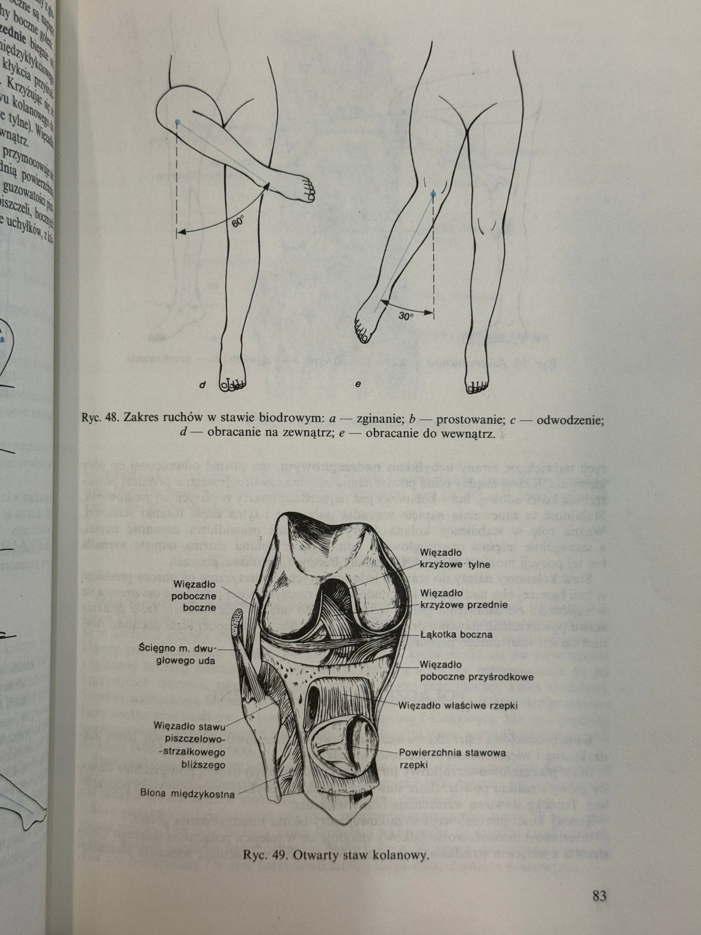 Anatomia i fizjologia człowieka Aleksander Michajlik, Witold Ramotowski