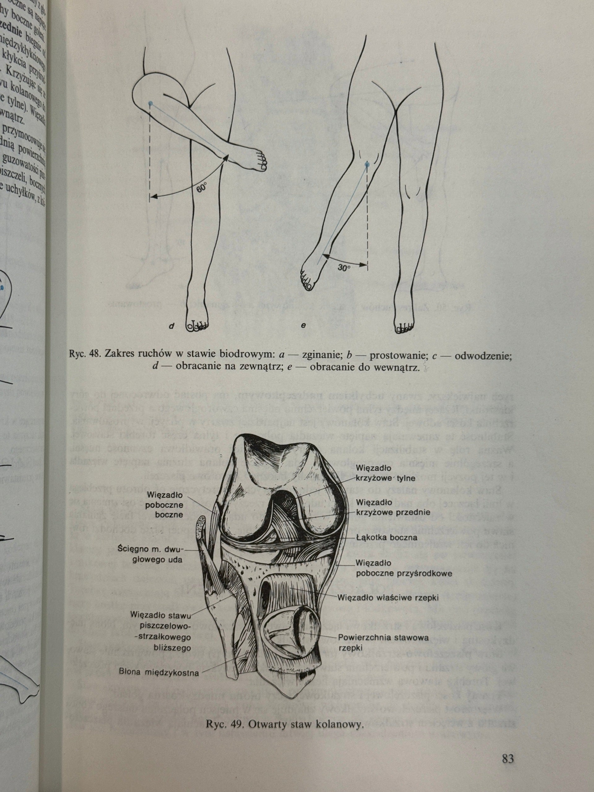 Anatomia i fizjologia człowieka Aleksander Michajlik, Witold Ramotowski