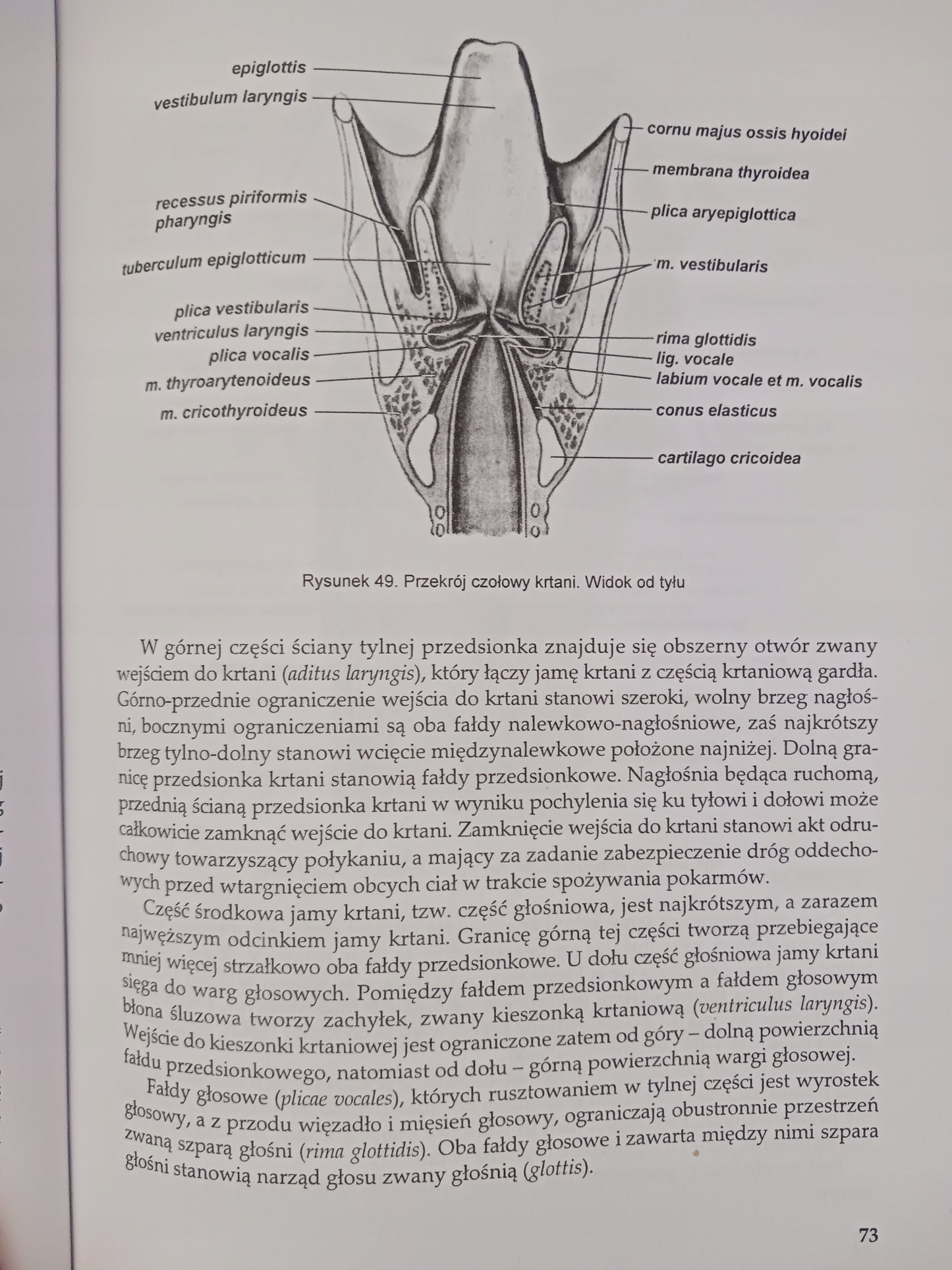 Anatomia Człowieka część II Praca zbiorowa