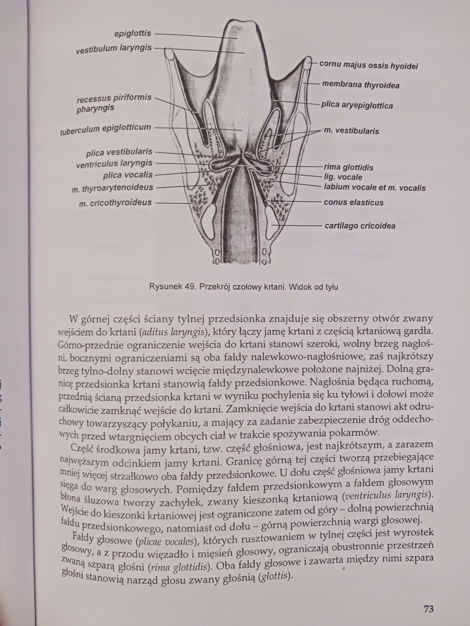 Anatomia Człowieka część II Praca zbiorowa