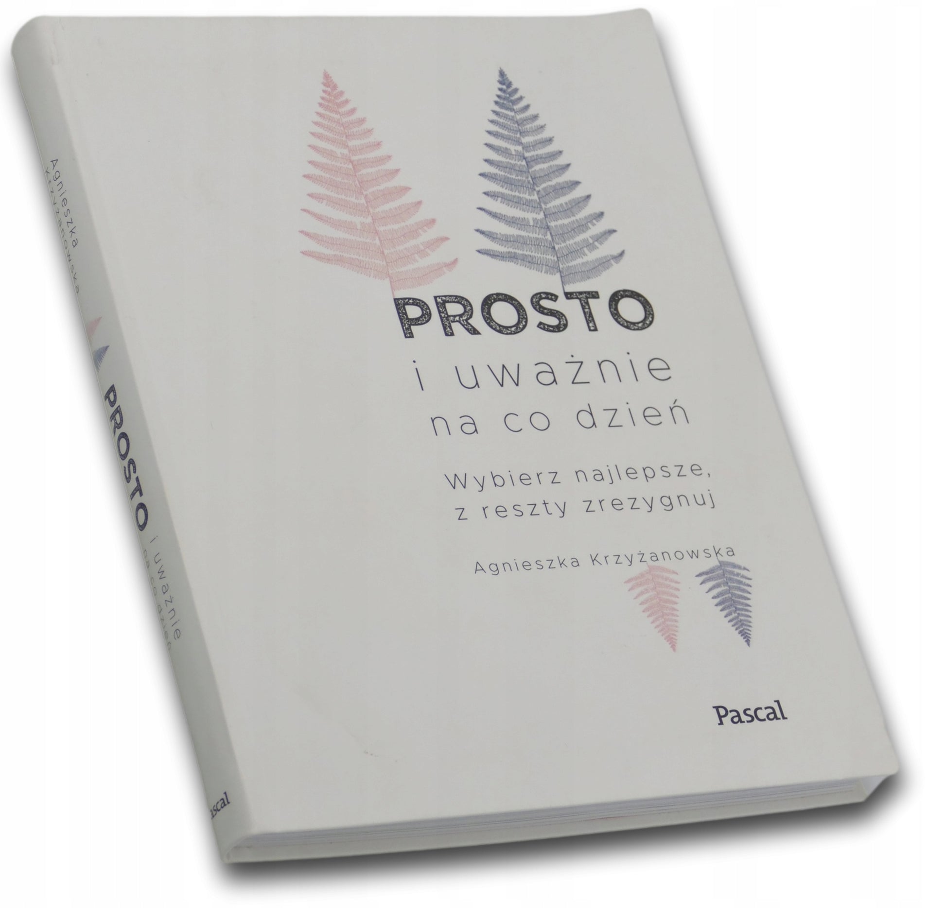 Prosto i uważnie na co dzień - Agnieszka Krzyżanowska