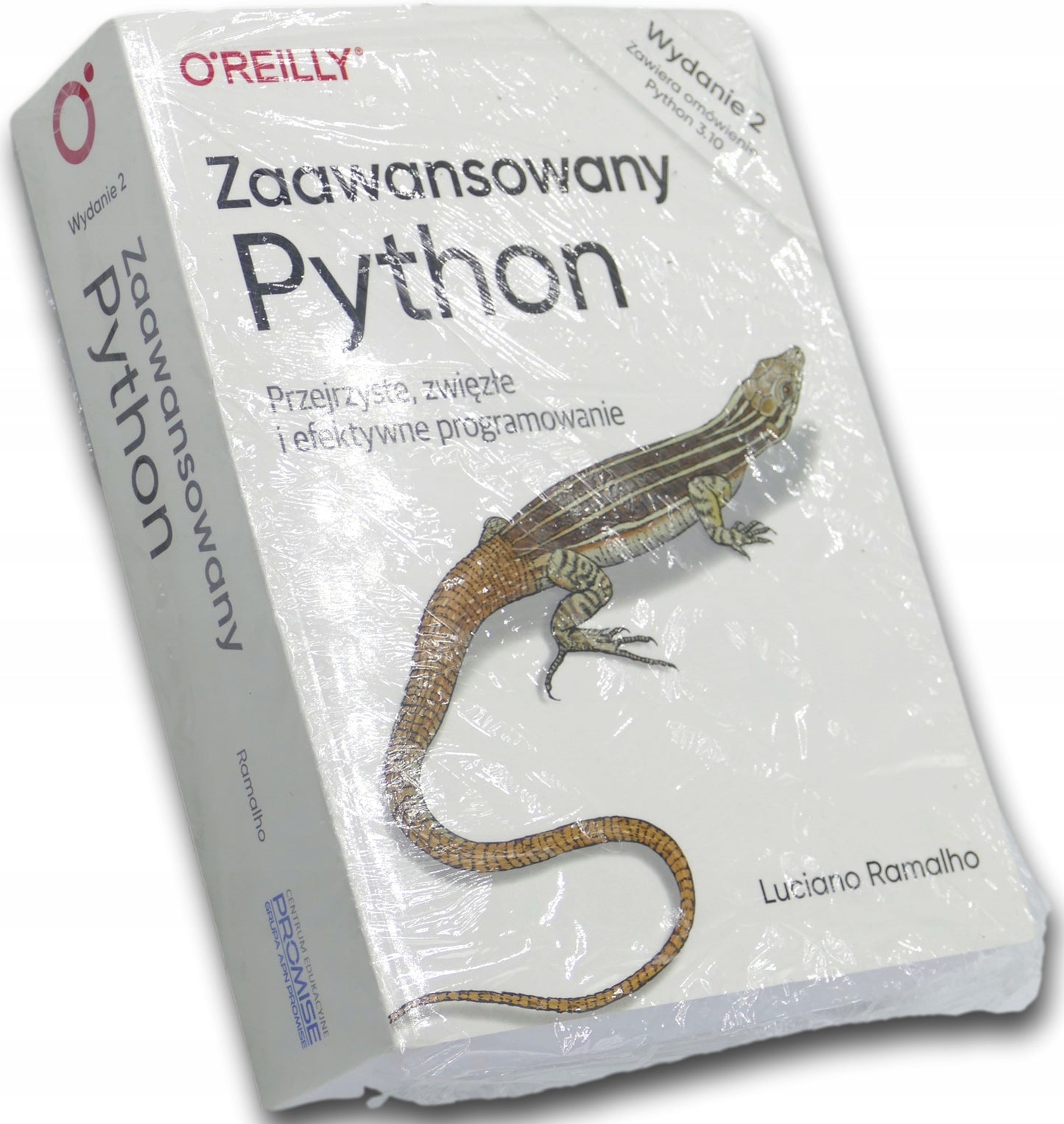 Zaawansowany Python. Przejrzyste i zwięzłe programowanie - Luciano Ramalho