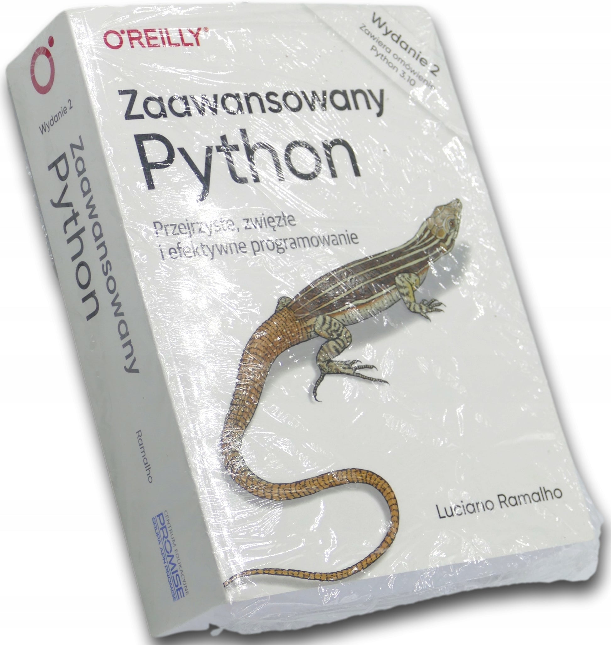 Zaawansowany Python. Przejrzyste i zwięzłe programowanie - Luciano Ramalho