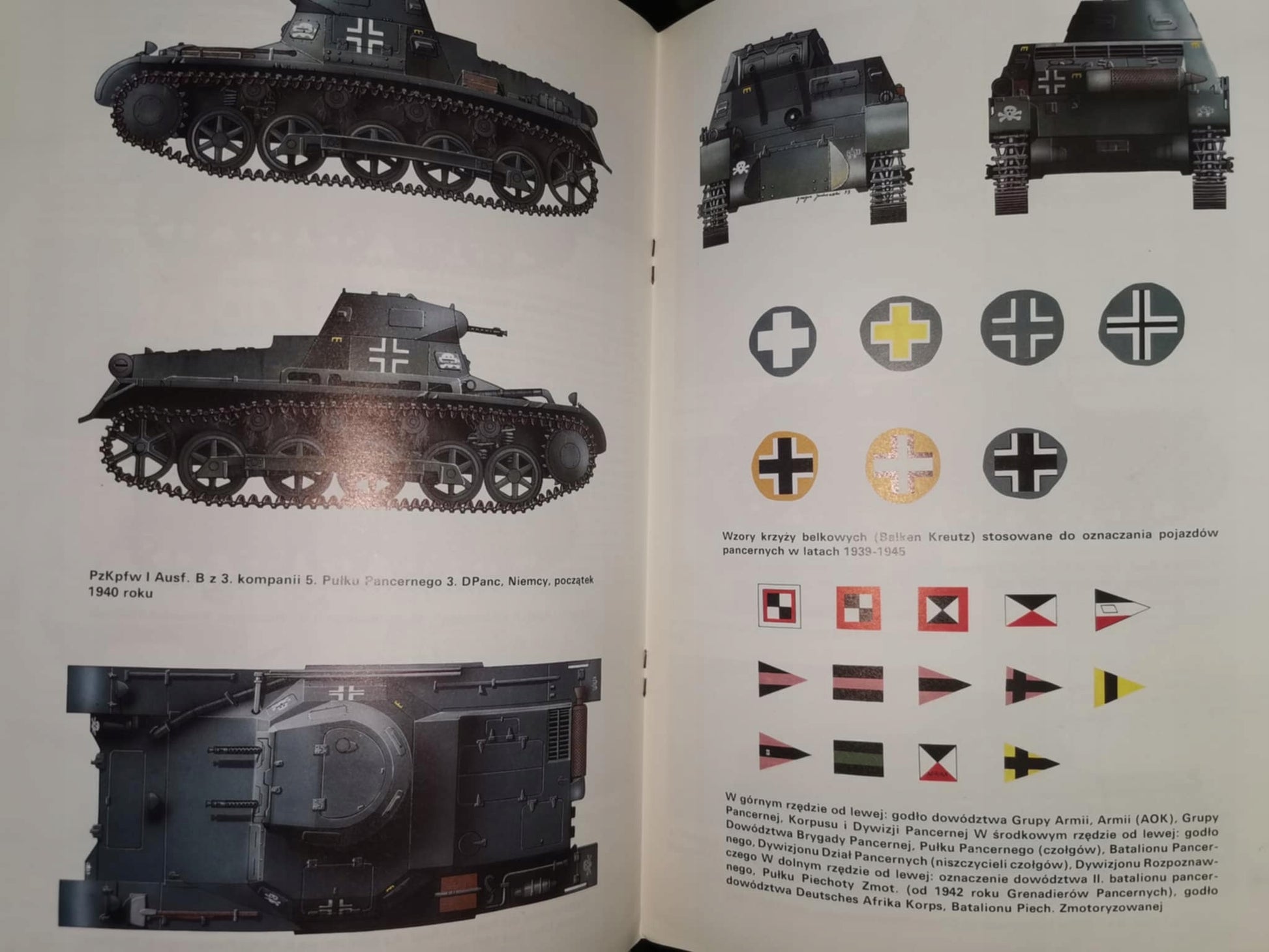 Panzer I, Janusz Ledwoch