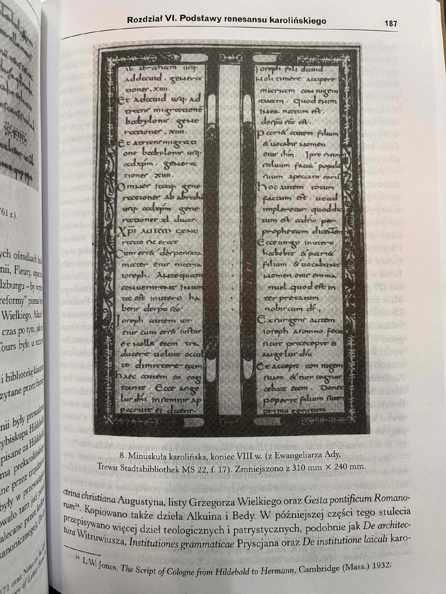 Królestwa Karolingów 751 - 987 Rosamond McKitterick [twarda]