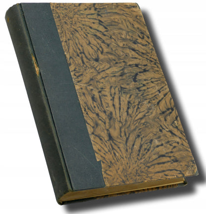 Współczesna literatura polska, W. Feldman, S. Lam [1924]