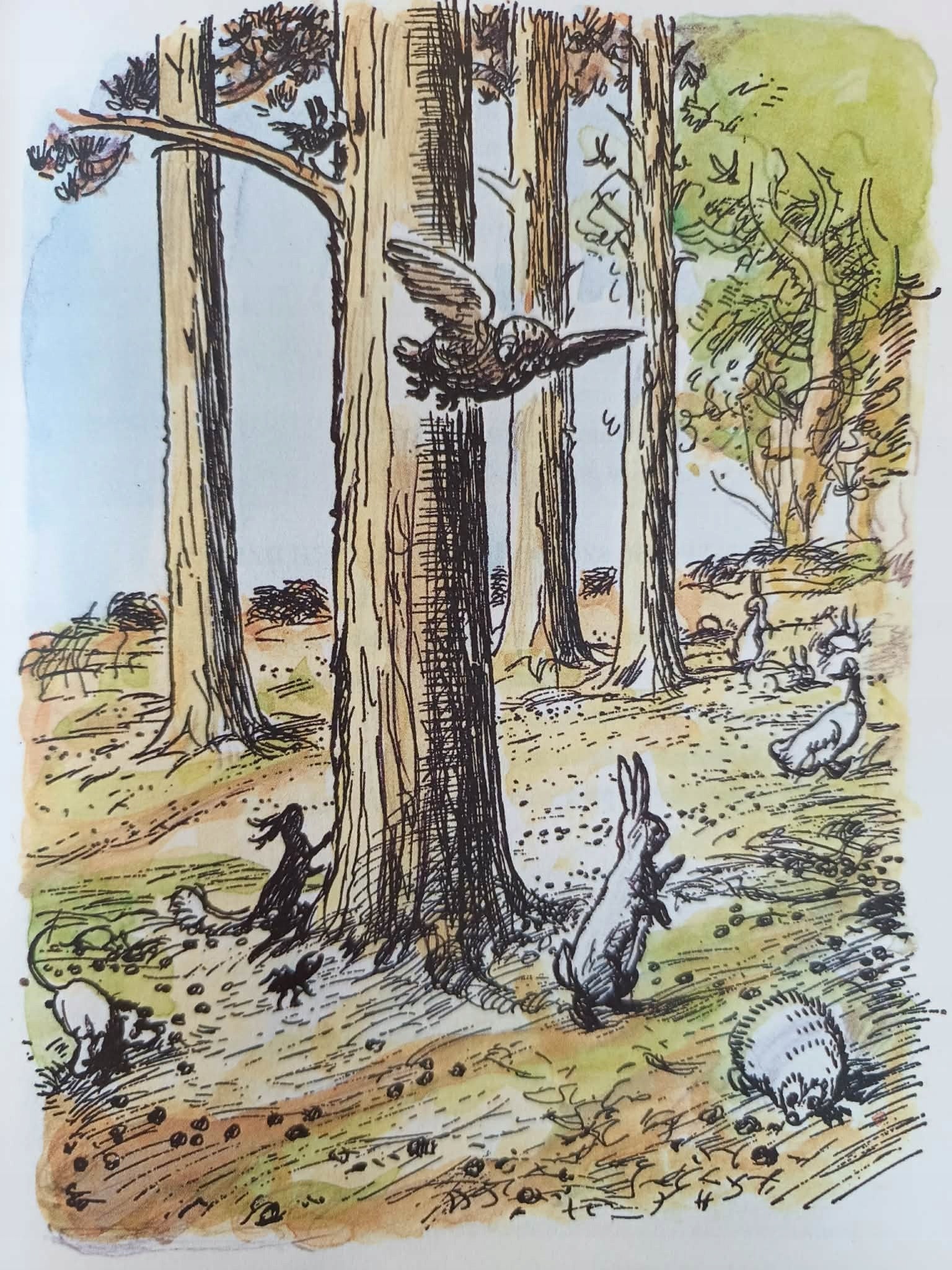 Kubuś Puchatek, Chatka Puchatka, A. A. Milne [książka na prezent]