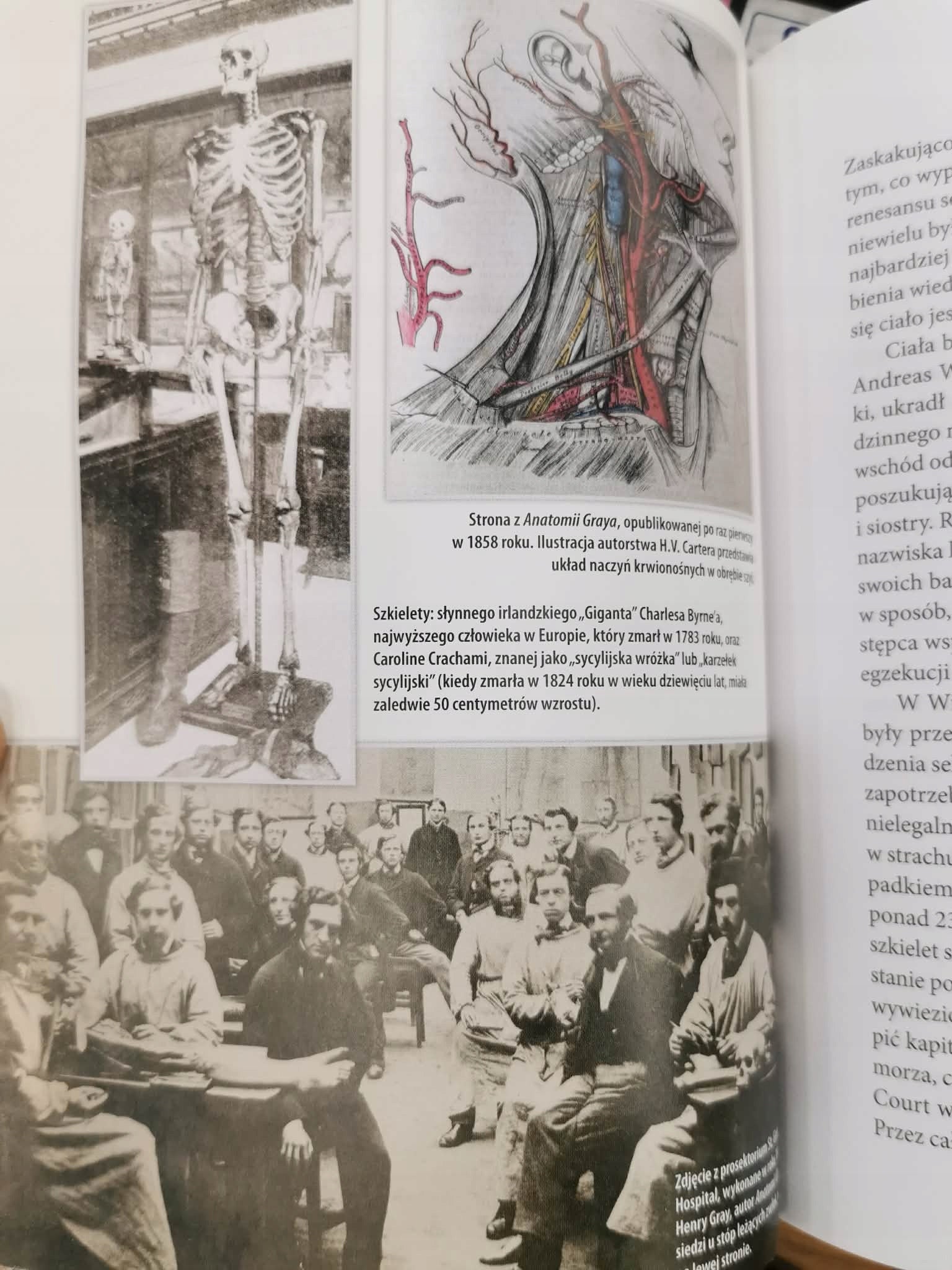 Ciało instrukcja dla użytkownika, Bill Bryson